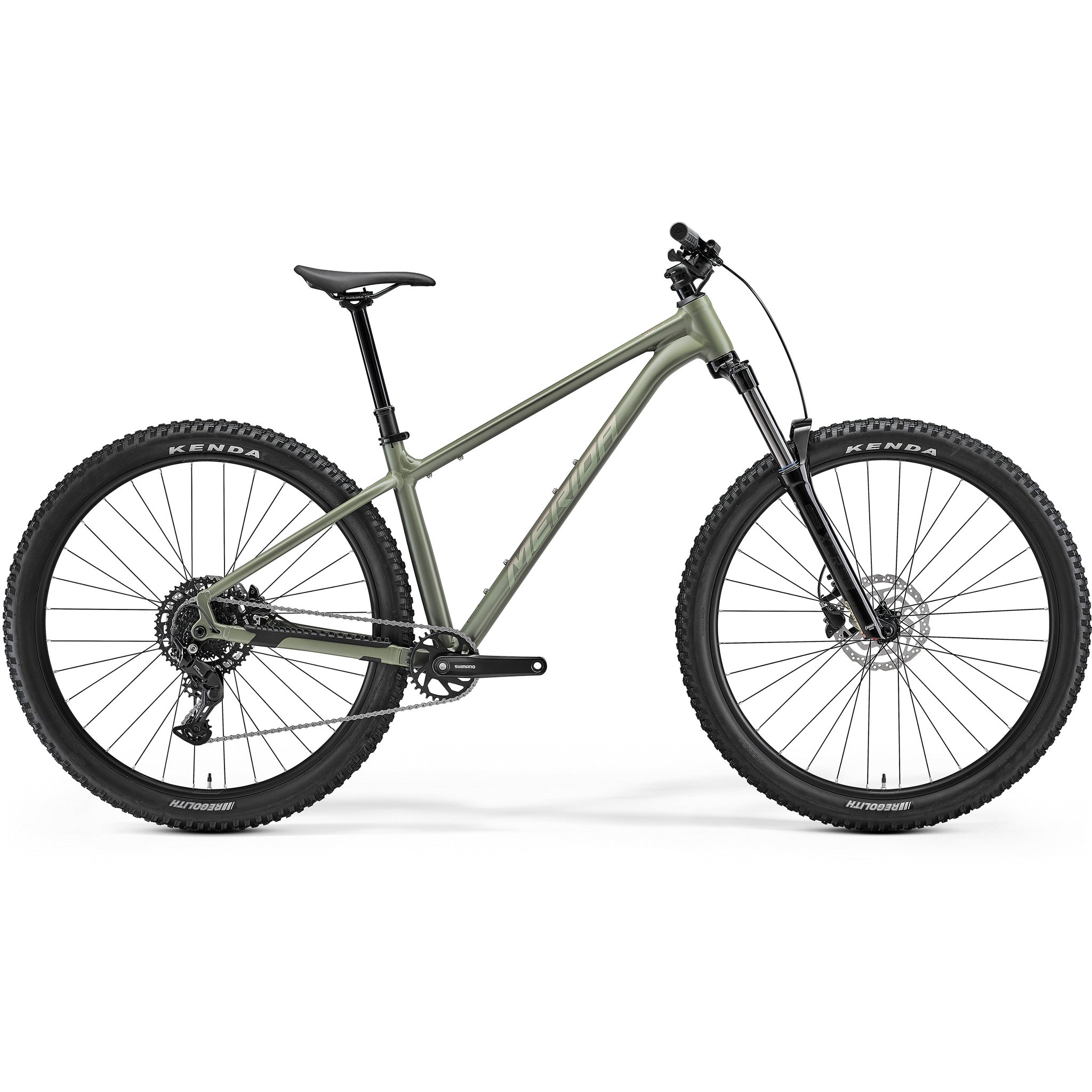 Big Trail 300 2027 Silk Anaconda Green (Green) / XS