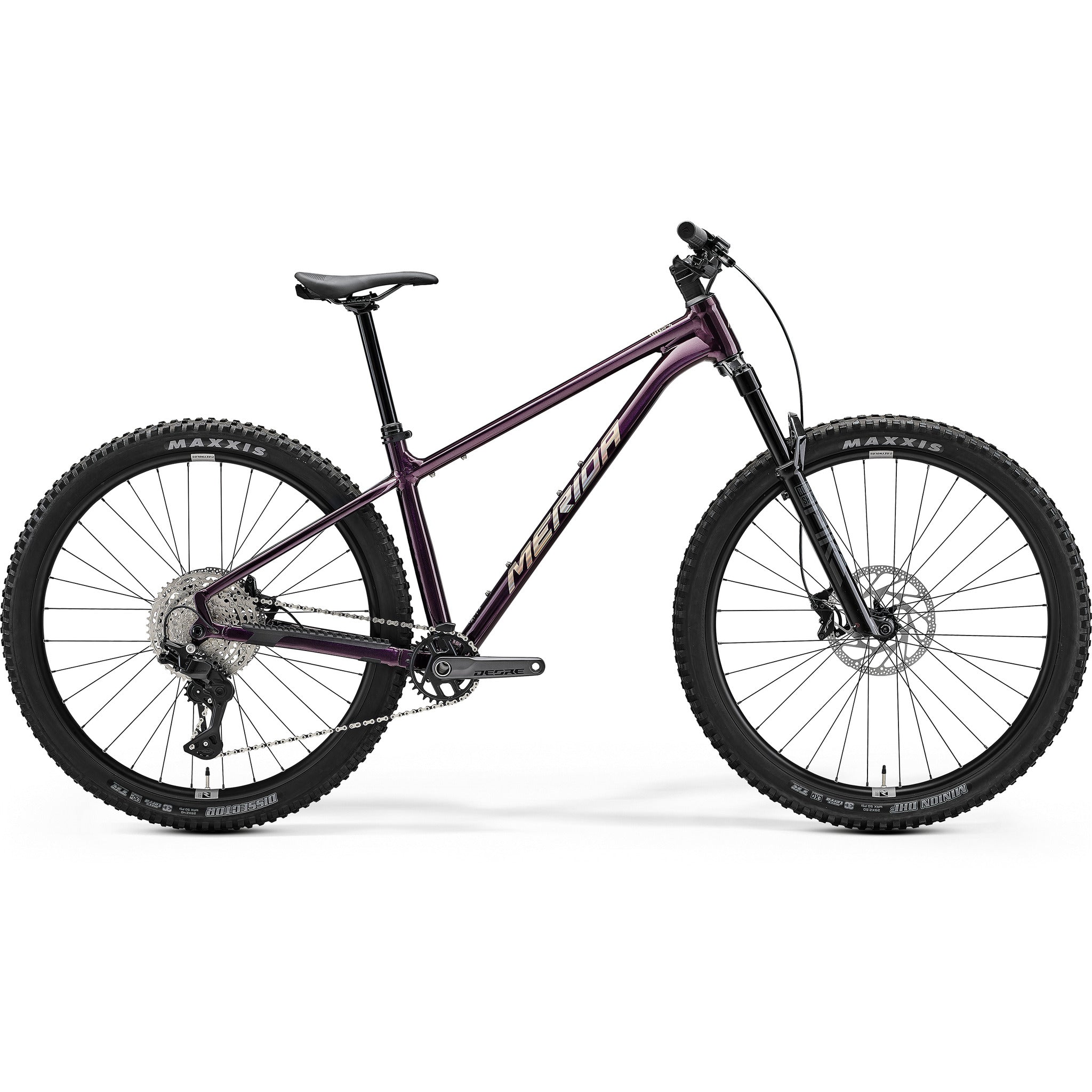 Big Trail 600 2027 Metallic Purple (Gold) / XS