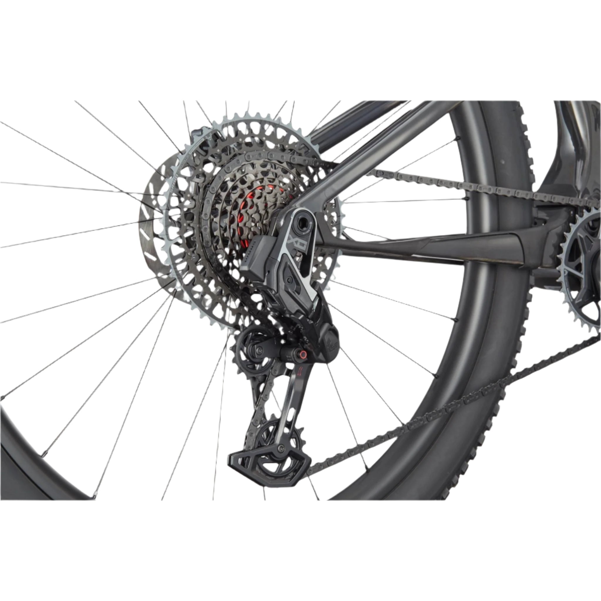Cannondale Scalpel 1 Lefty 2025 Raw / L