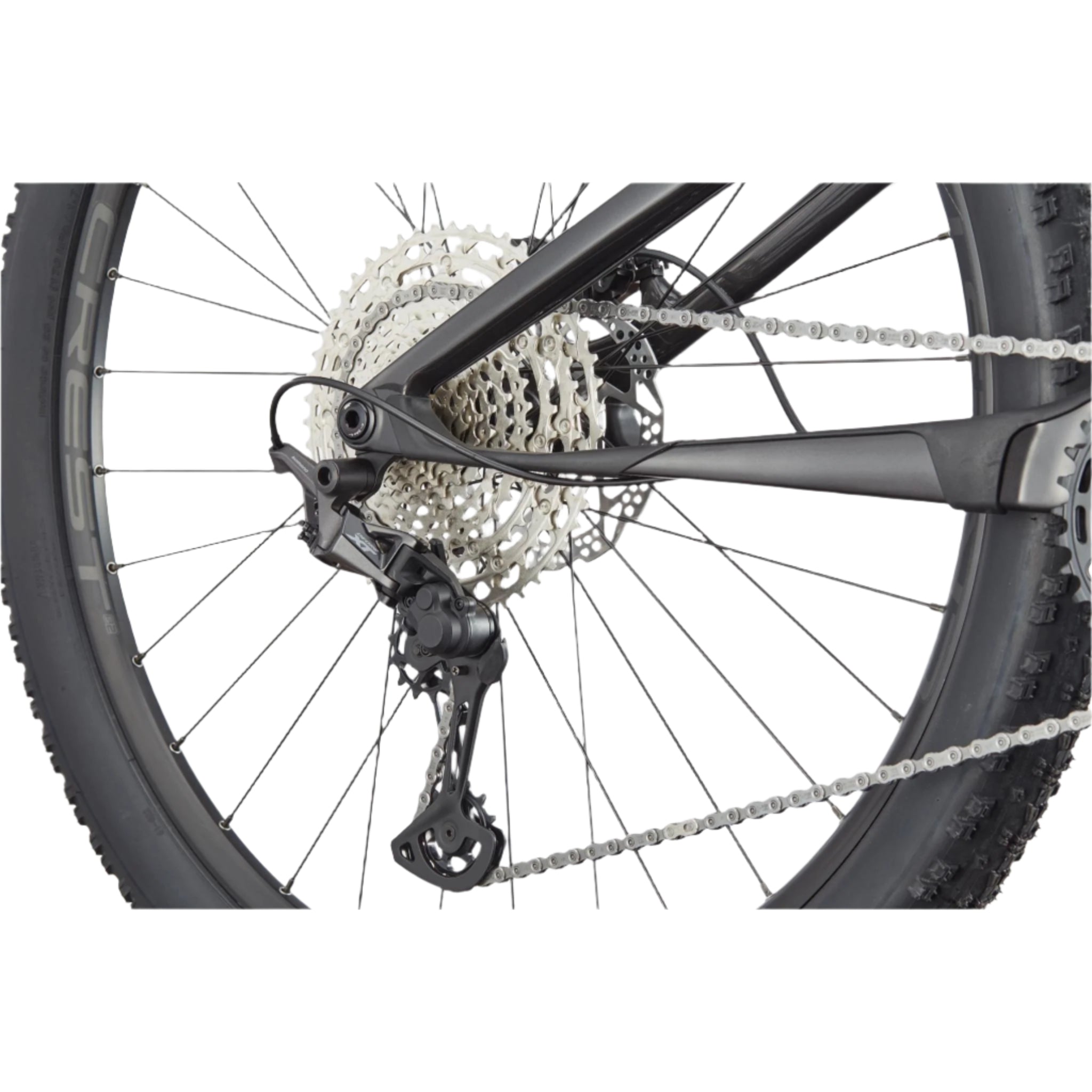 Cannondale Scalpel 4 2024
