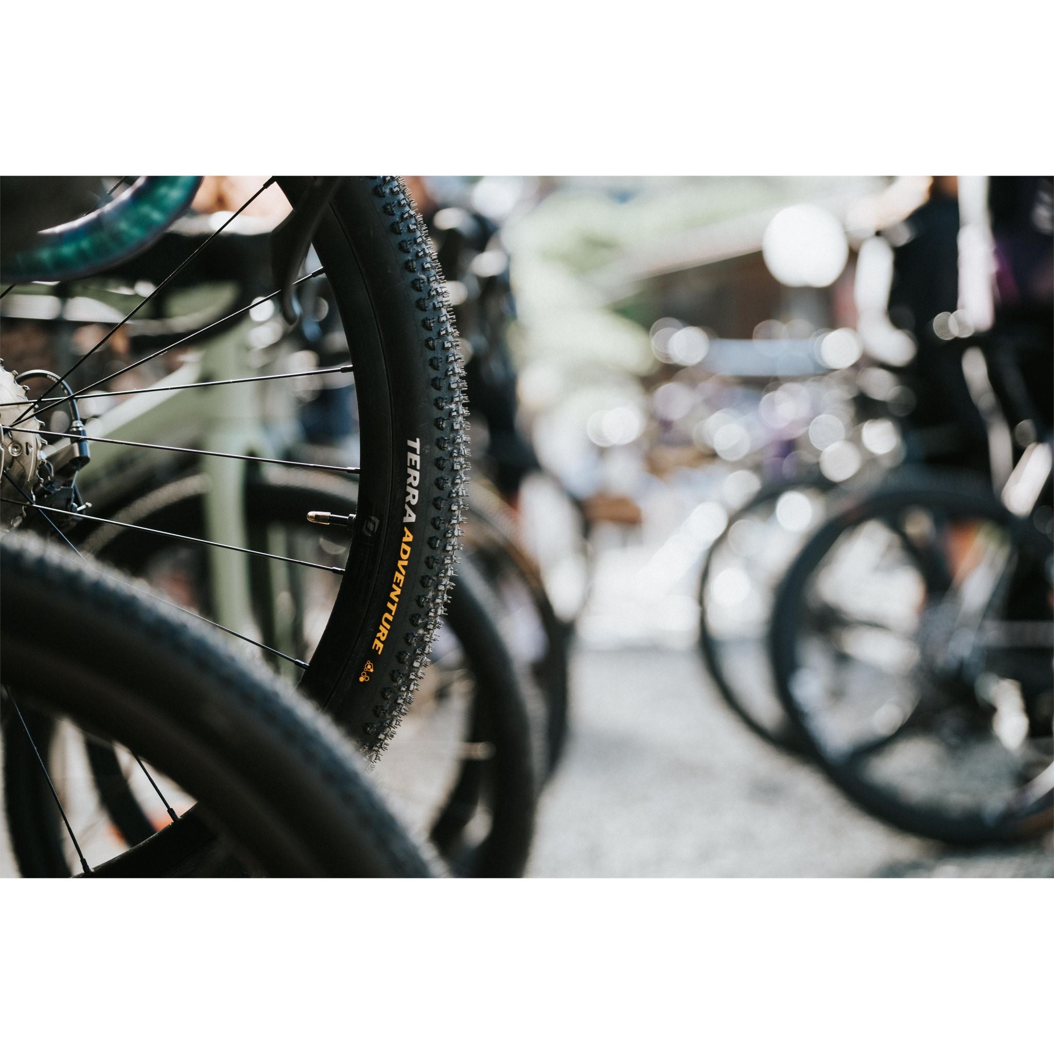 Continental Terra Adventure Tyre