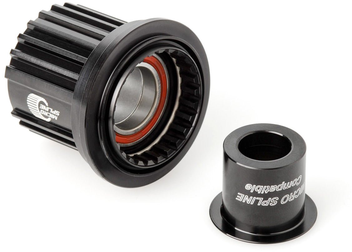 DT Swiss Ratchet freehub conversion kit - Shimano MICRO SPLINE (12x142/148)