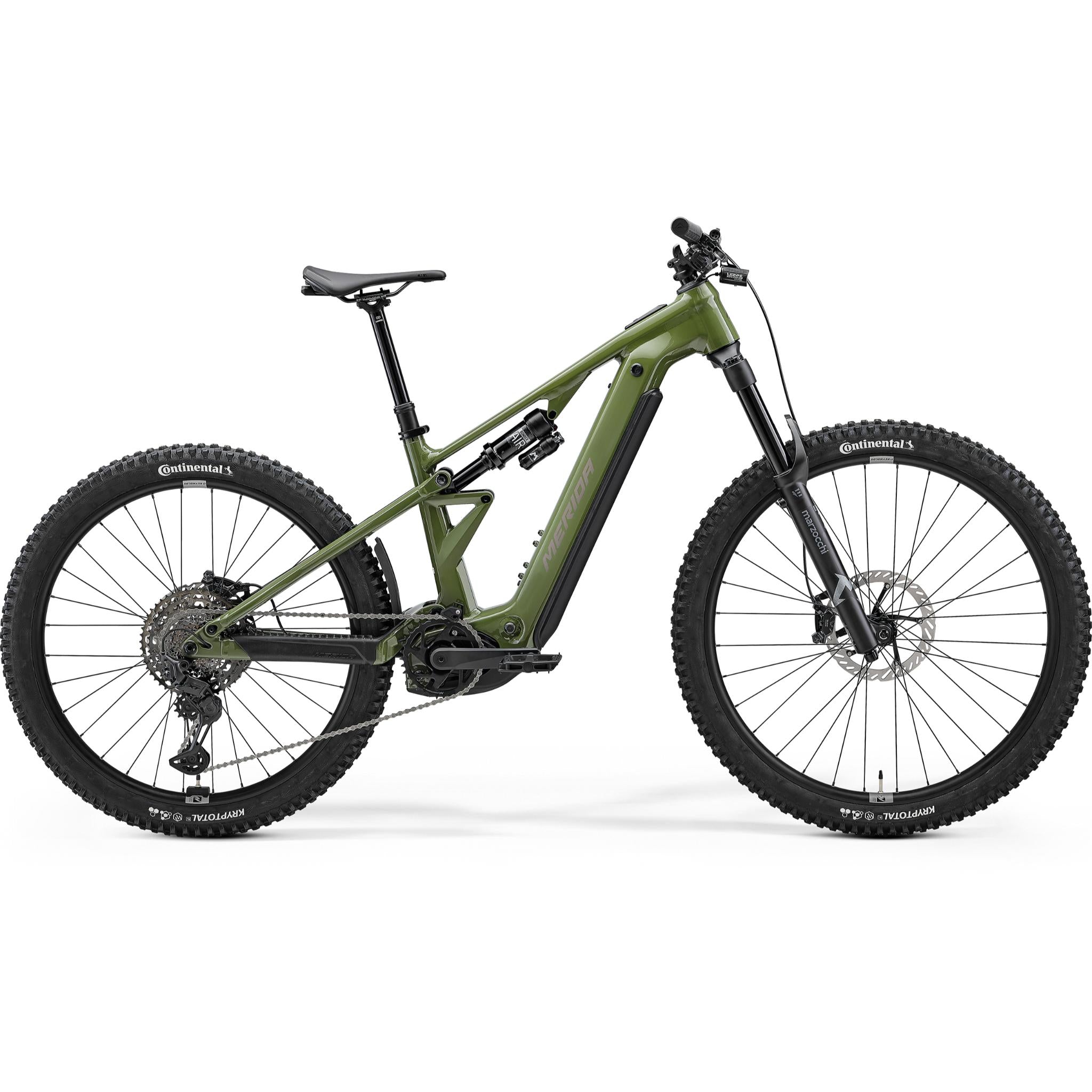 Etmo 800 2026 Anaconda Green / Short