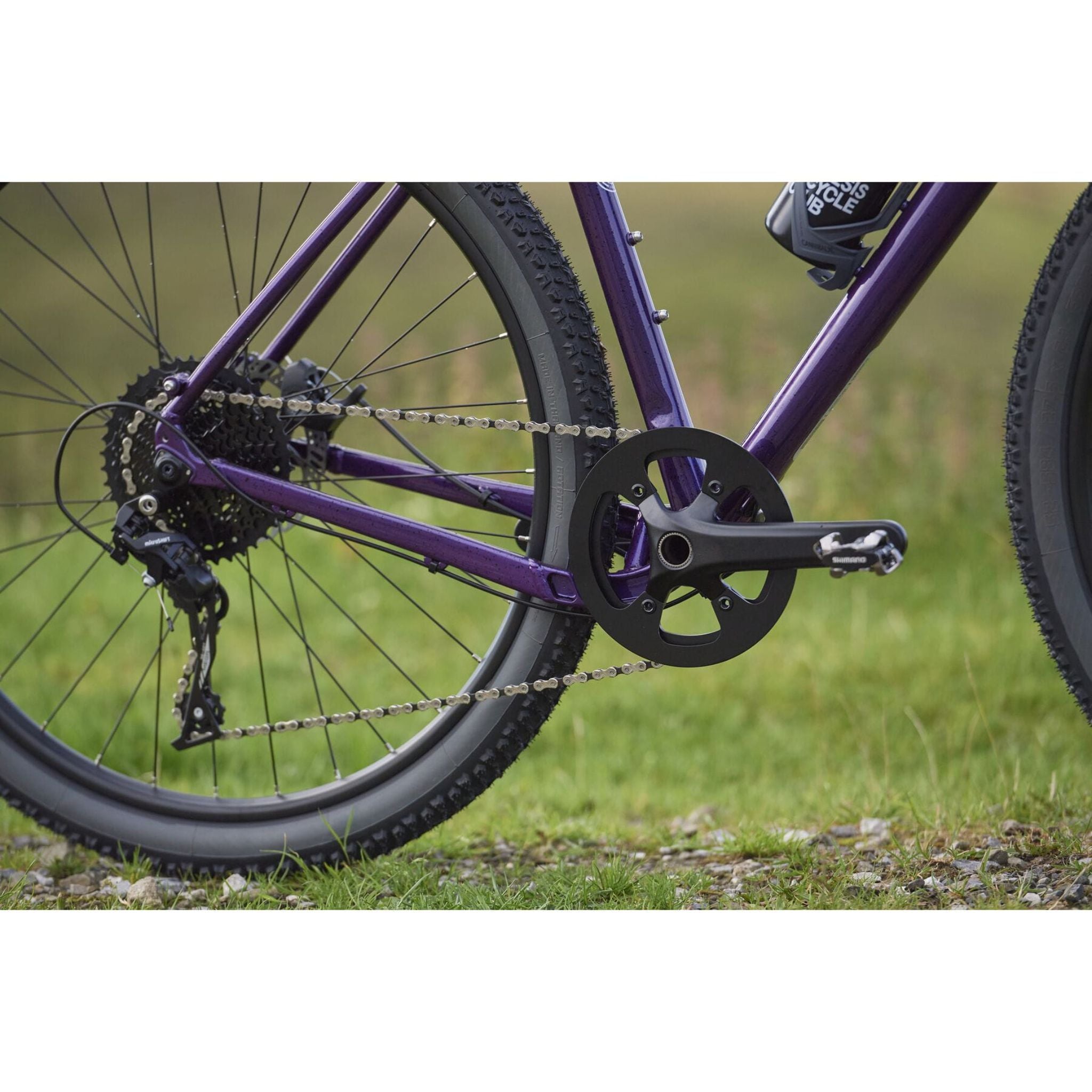 Genesis Fugio 10 2025