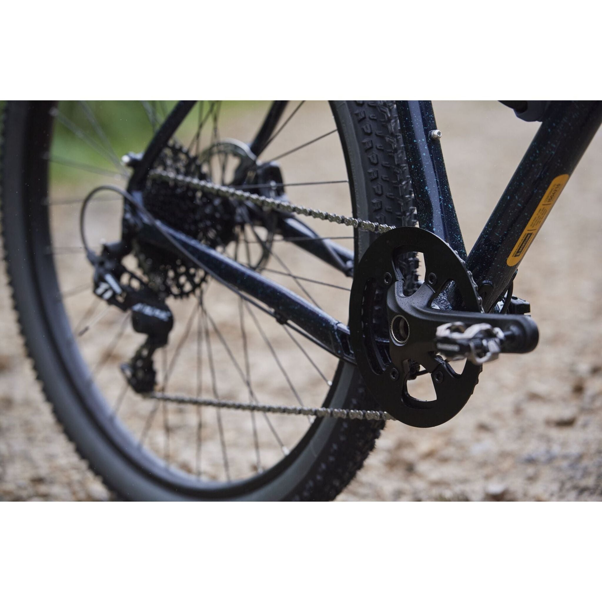 Genesis Fugio 30 2025