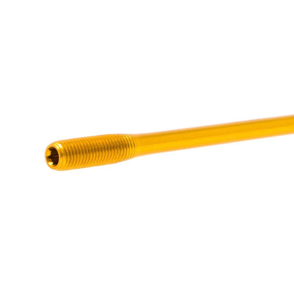 Gold Spokes