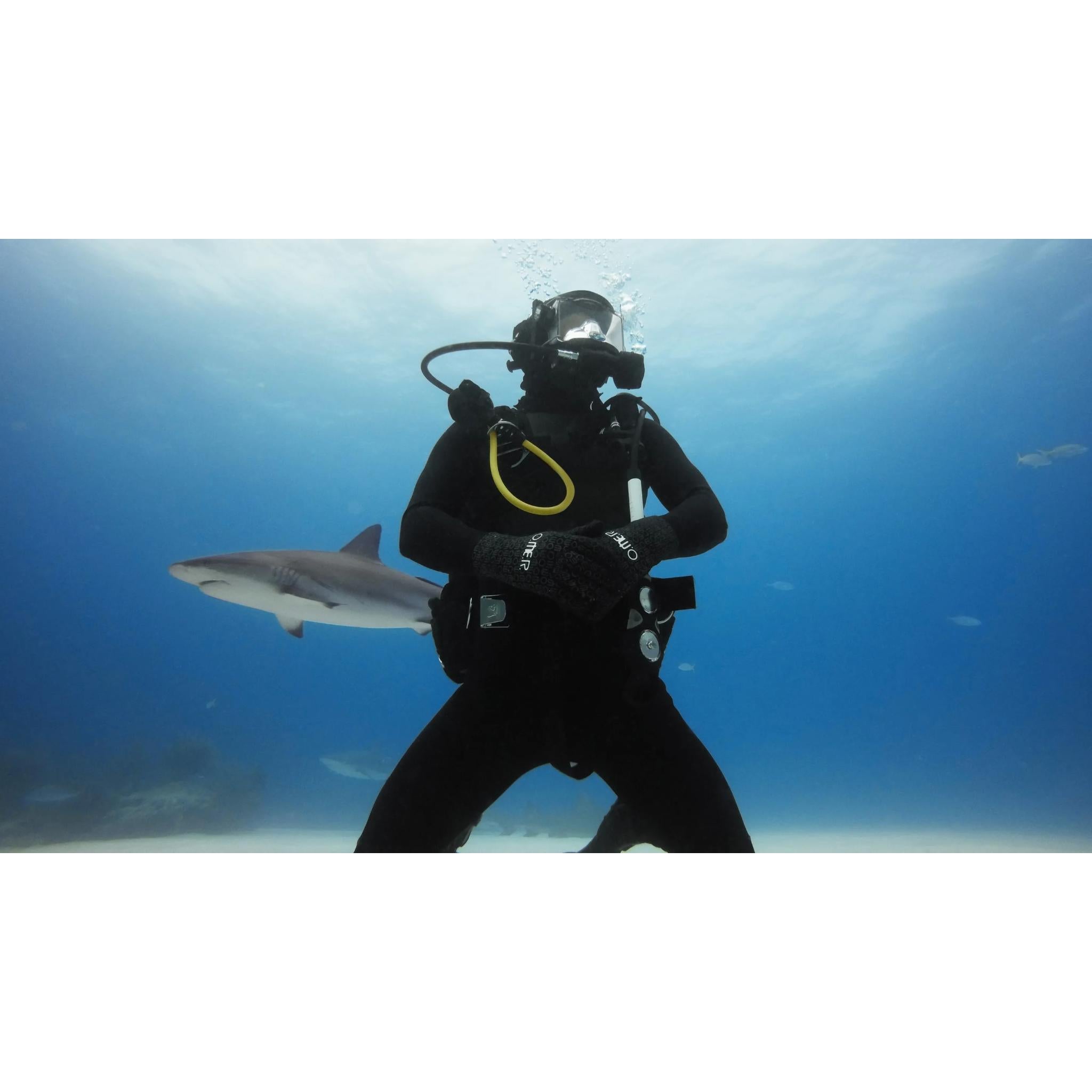GoPro Dive Housing (HERO11 Black Mini)
