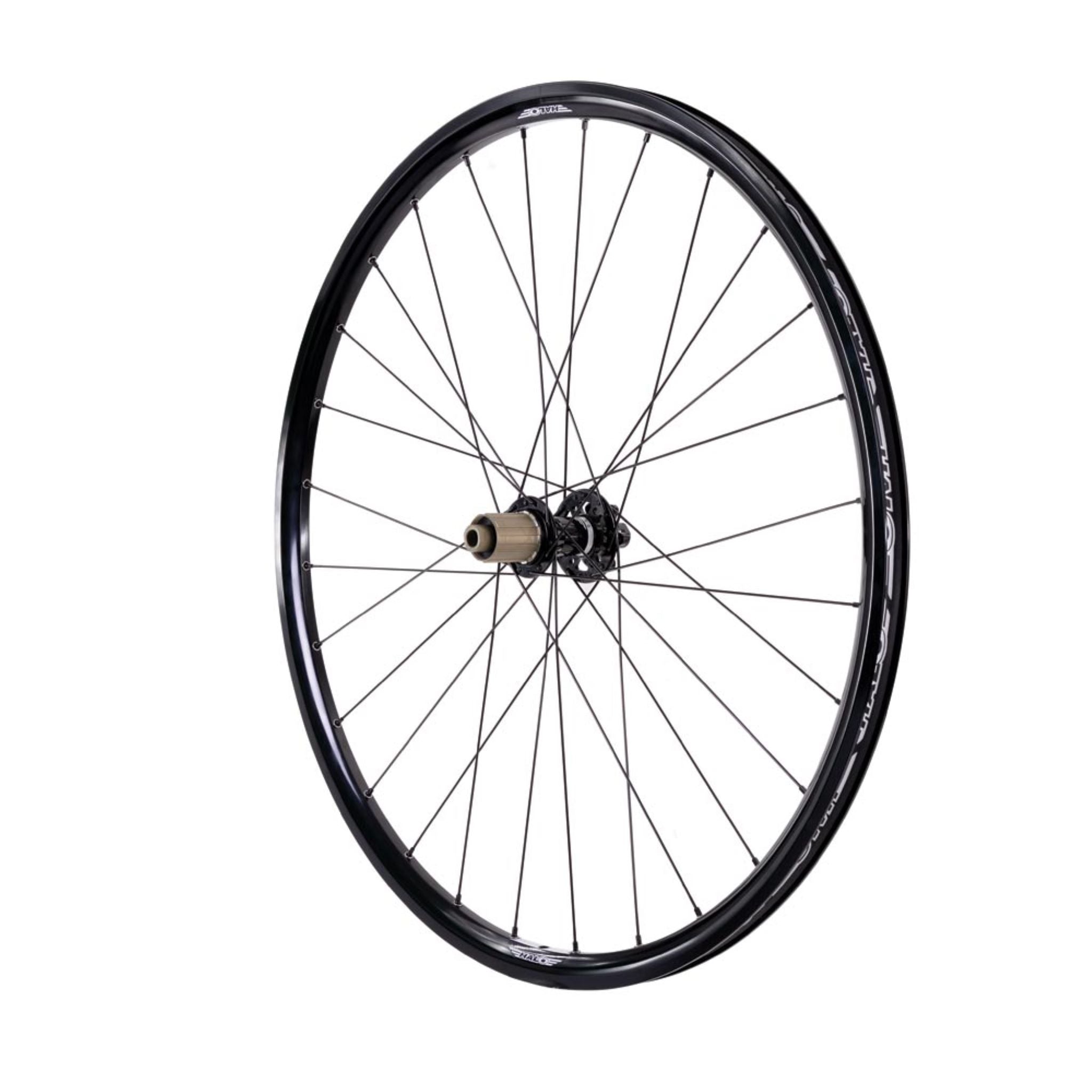 Halo White Line Disc 700c Wheel Black / 700c / Rear HG