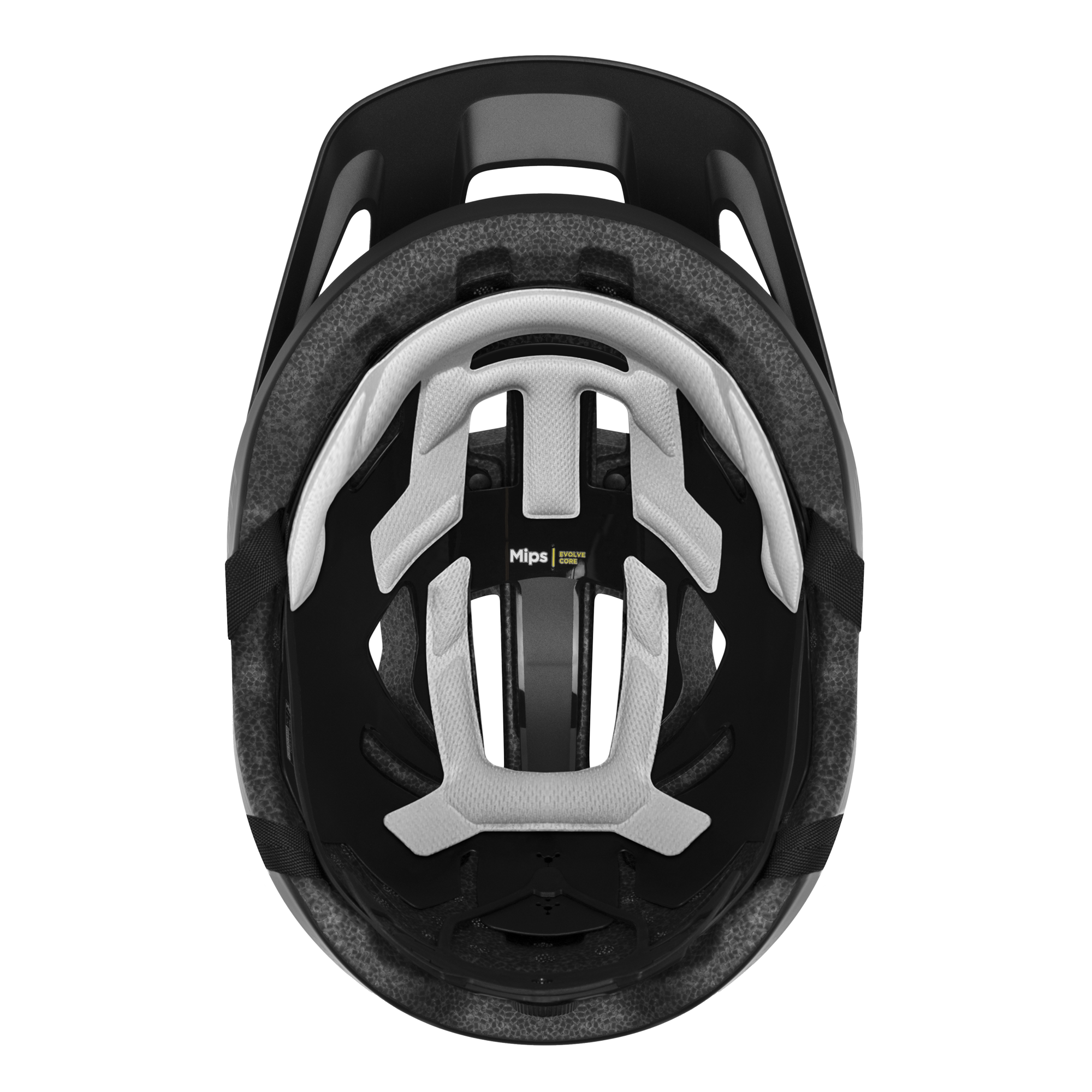 Pilot MIPS Helmet