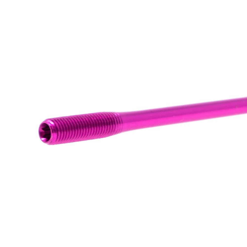 Pink Spokes
