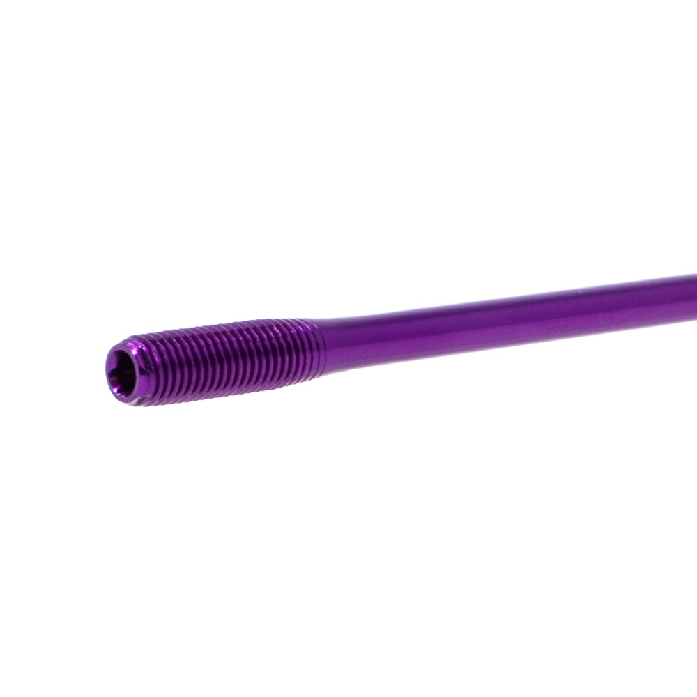 Purple Spokes