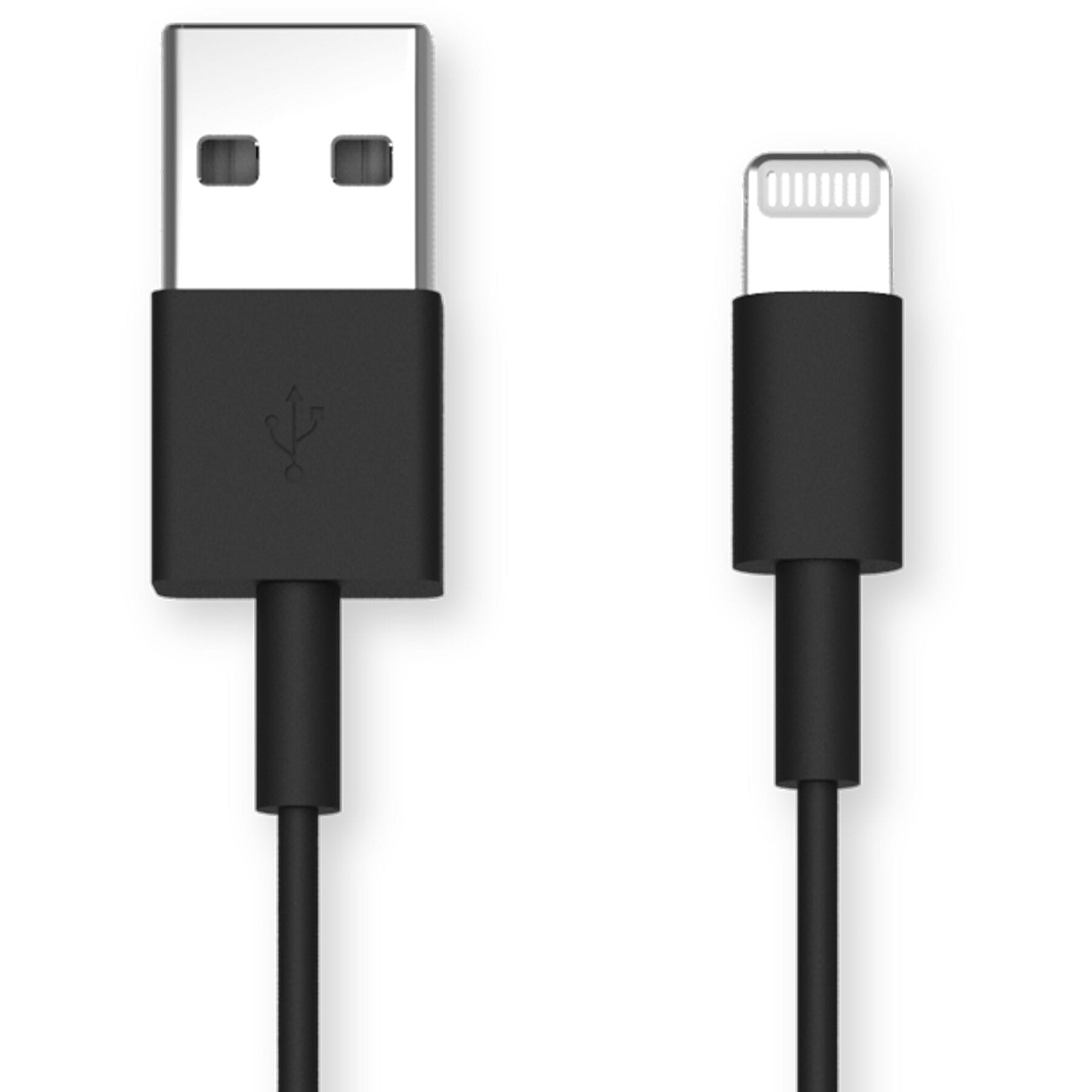 Quad Lock USB-A to Apple Cable - 20cm Black / One Size