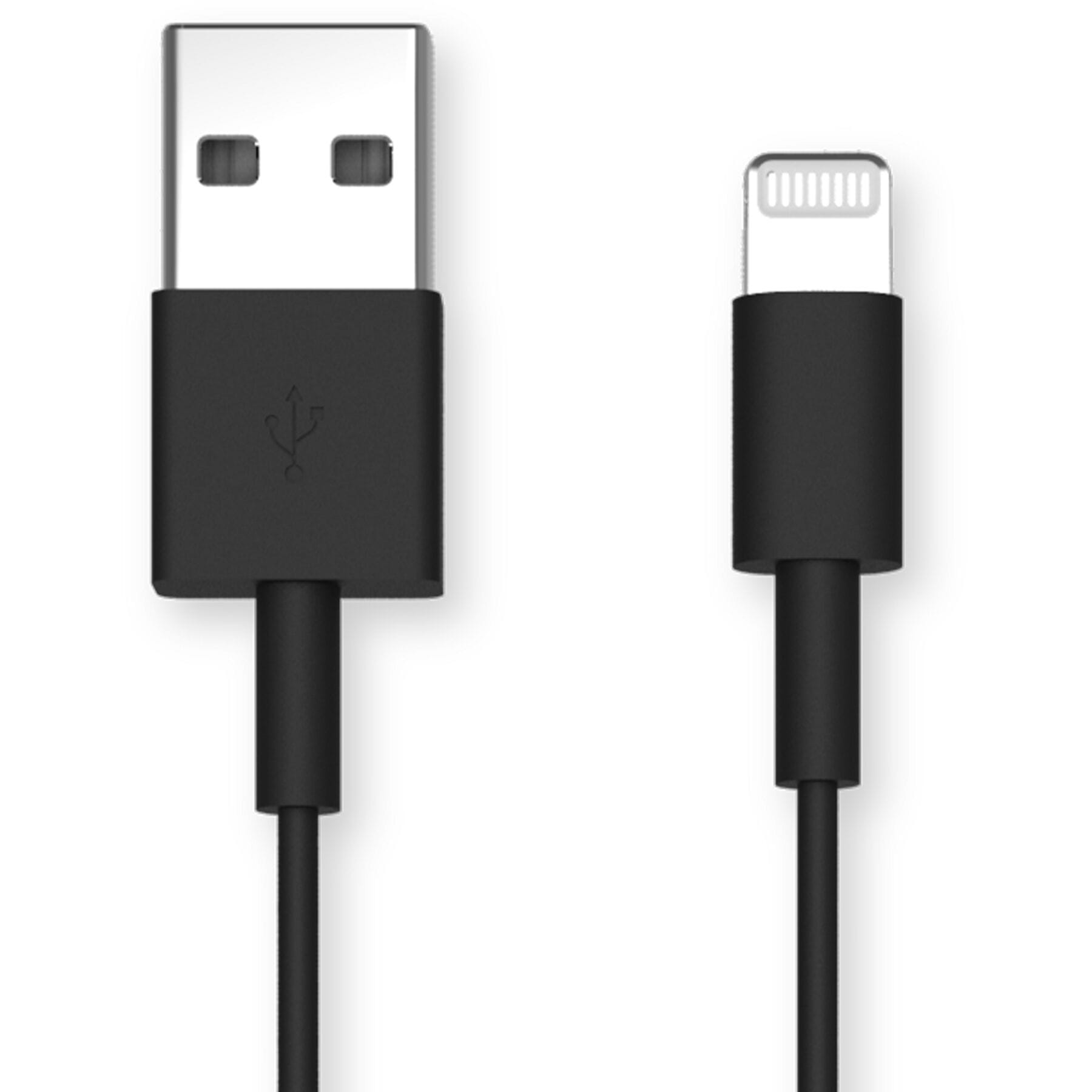 Quad Lock USB-A to USB-C Cable - 20cm Black / One Size
