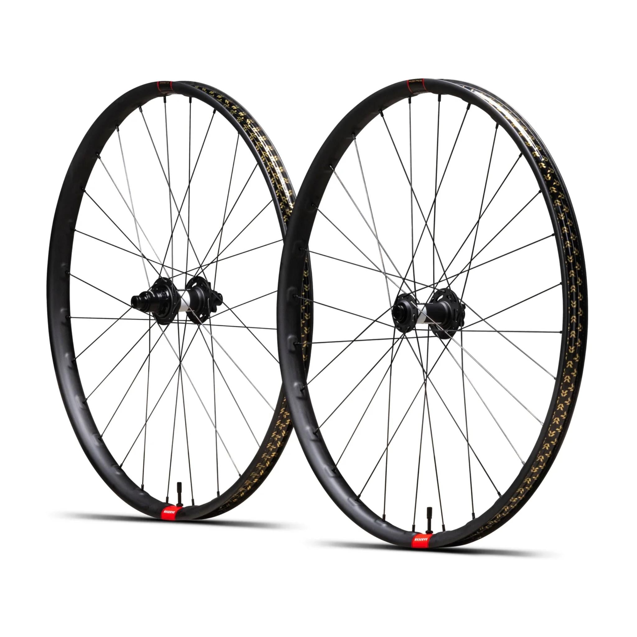 Reserve 30|DH Carbon Wheelset 29 / DT Swiss 350 - SRAM XD - 6-Bolt / 110x20 & 157x12