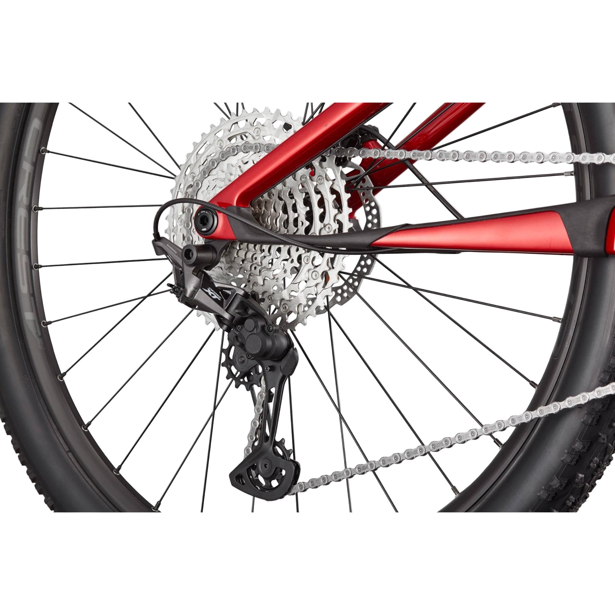 Scalpel Carbon 4 2025
