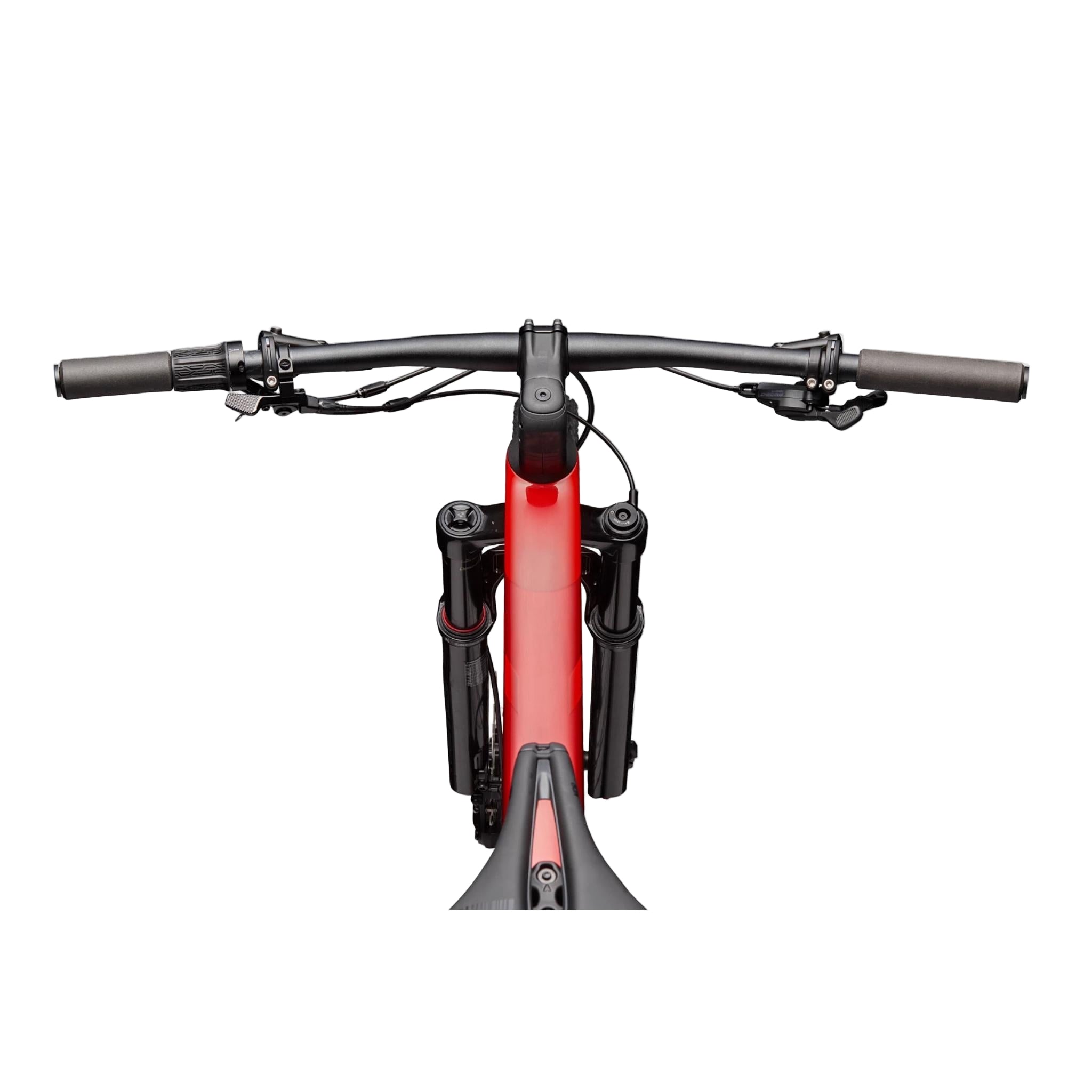 Scalpel Carbon 4 2025