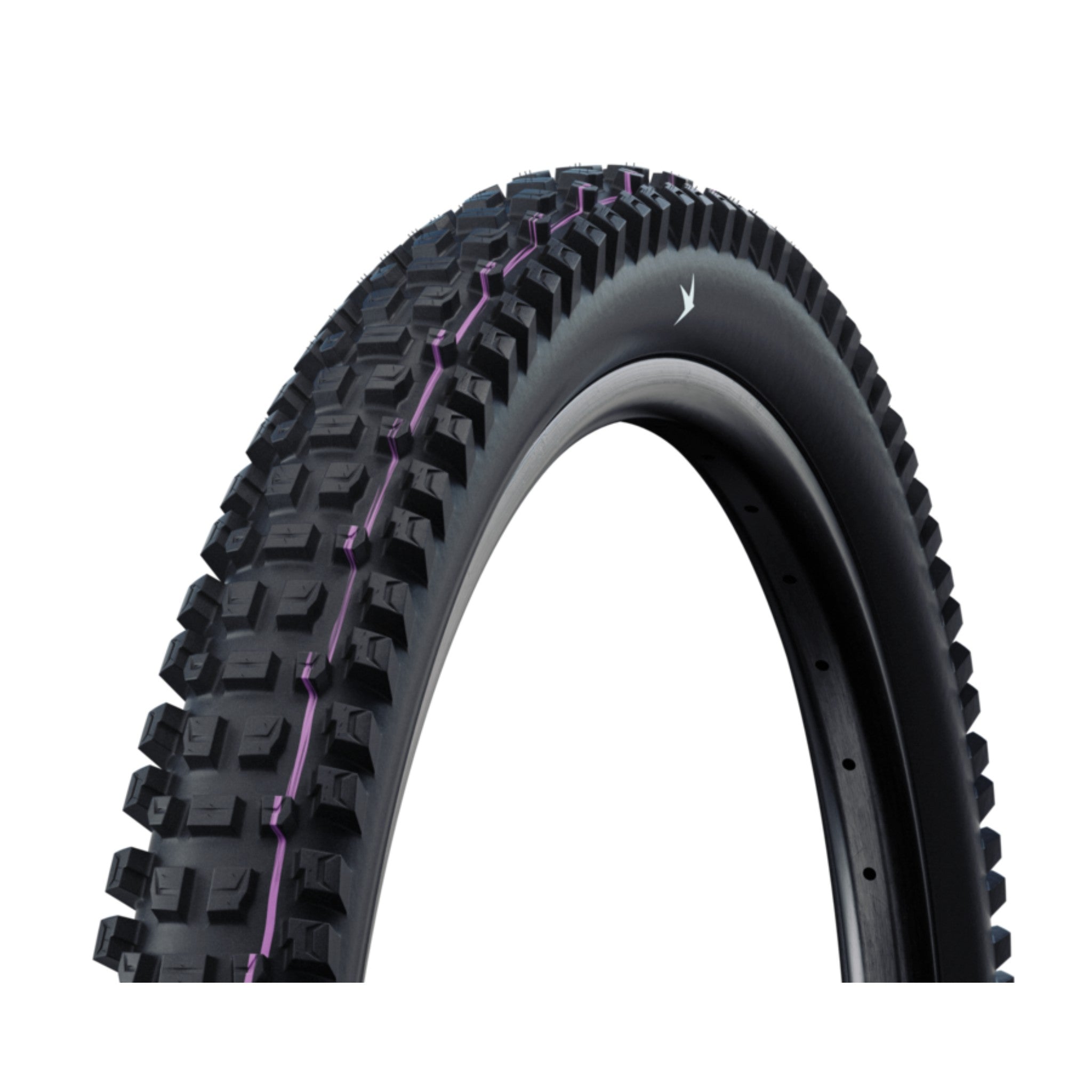 Schwalbe Albert Gravity Pro Radial Tyre 29 x 2.50 / Evolution Ultra Soft TLR
