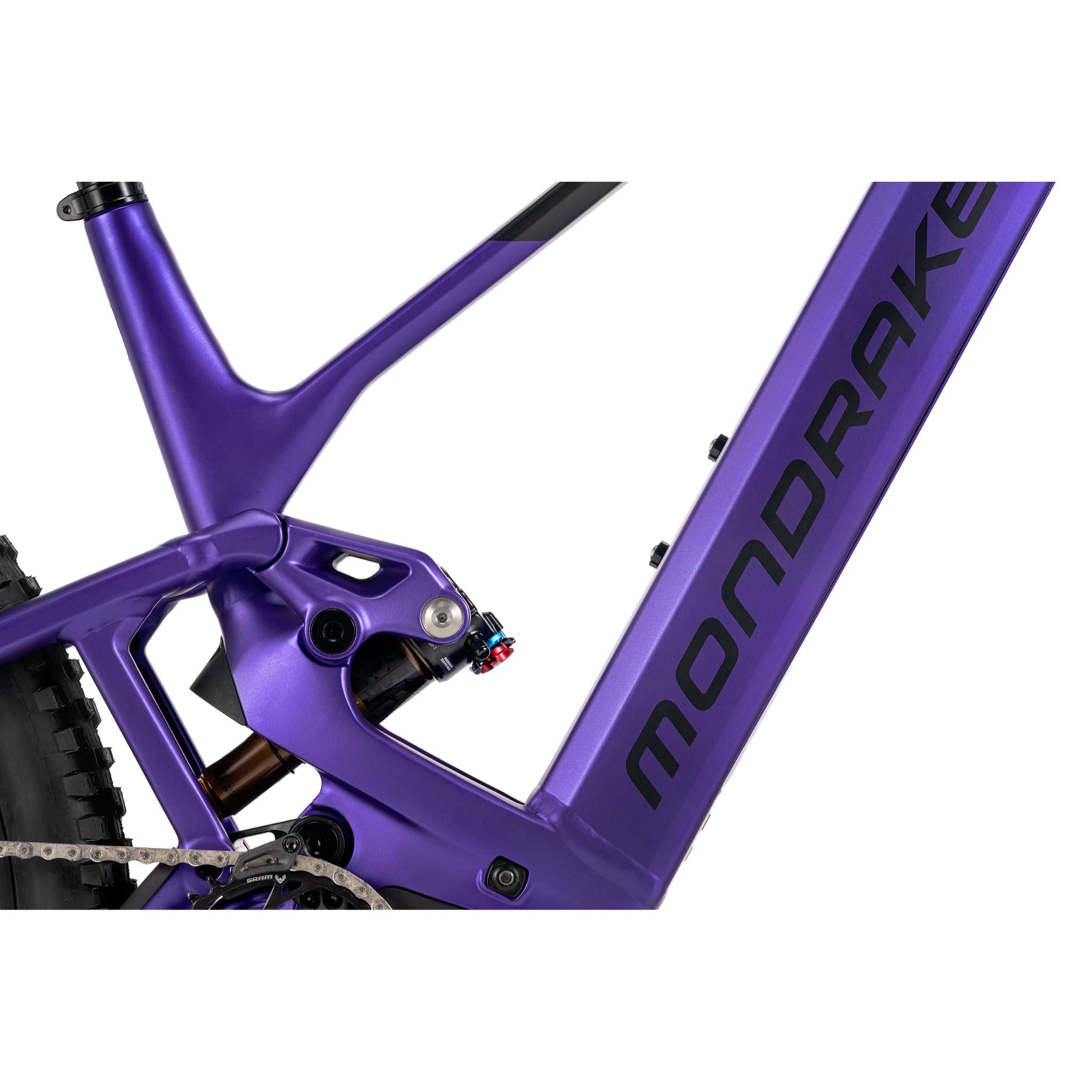 Scree RR 2026