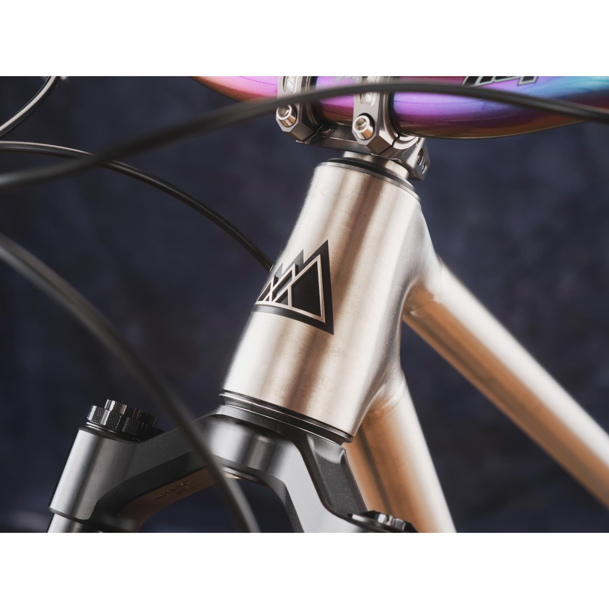 Titanium MTB Frame Frame Only