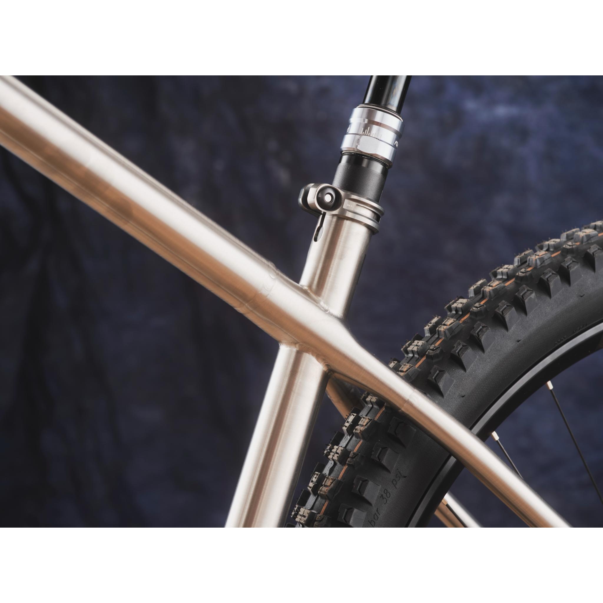 Titanium MTB Frame Frame Only