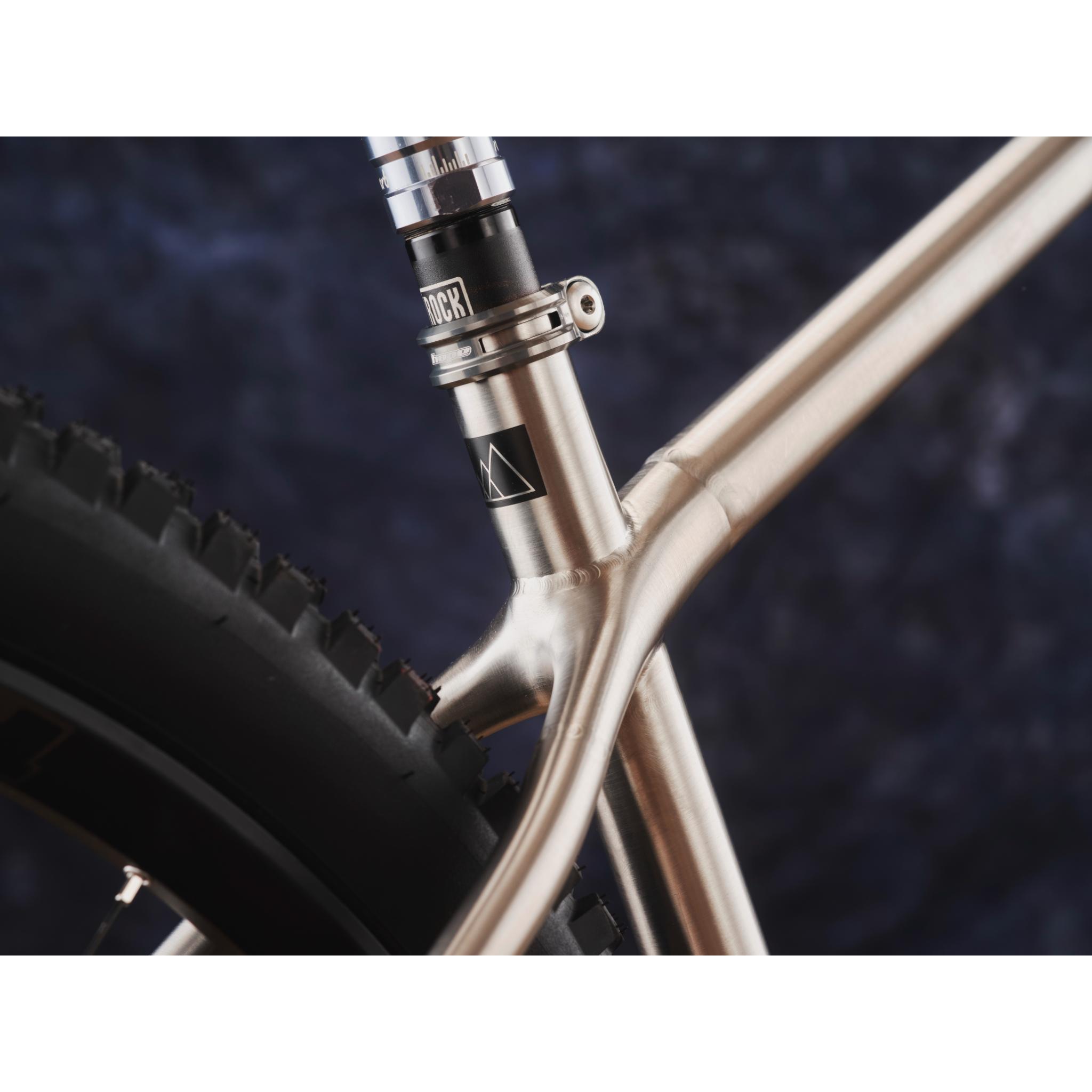 Titanium MTB Frame Frame Only