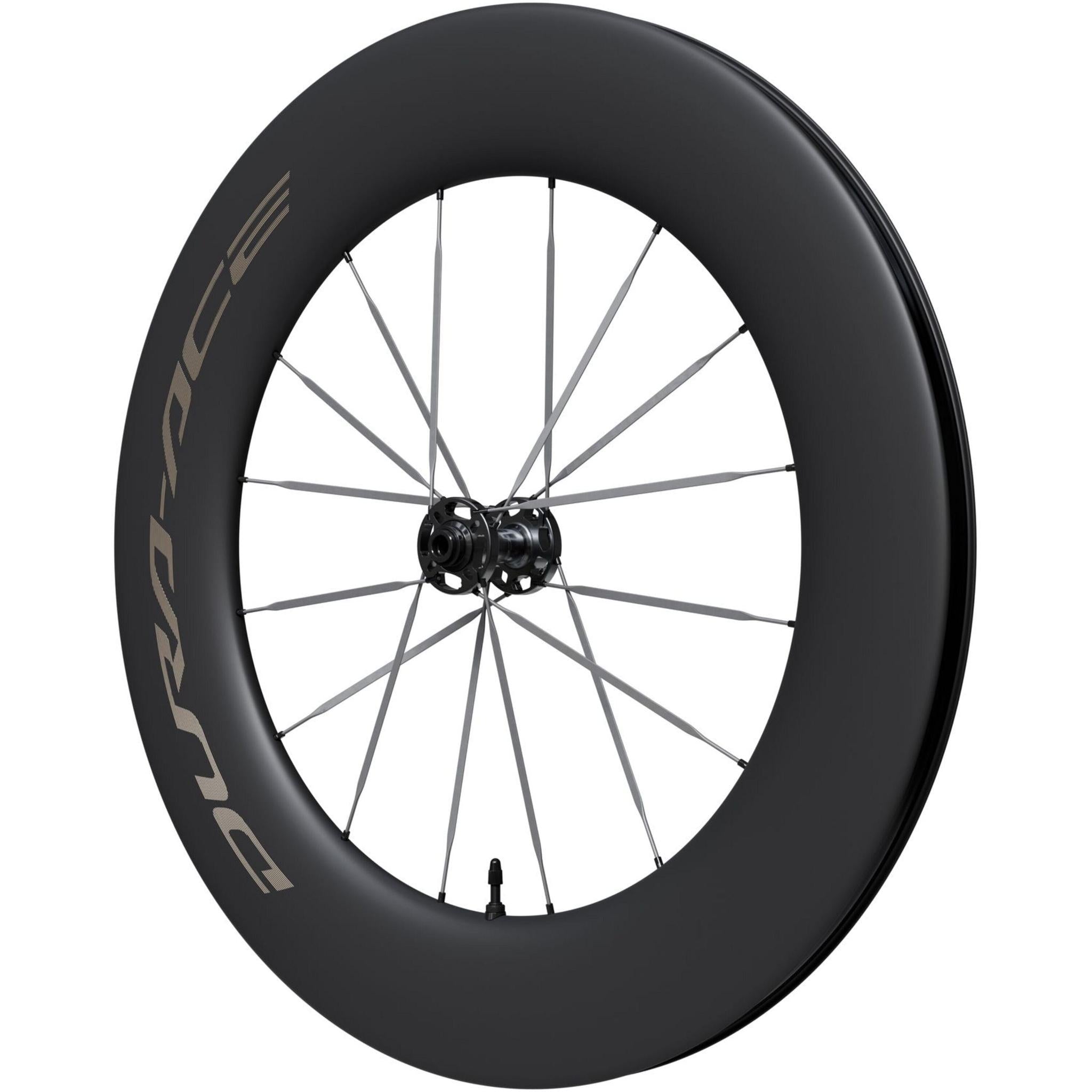 WH-R9370 C99 Disc Carbon TT Wheel