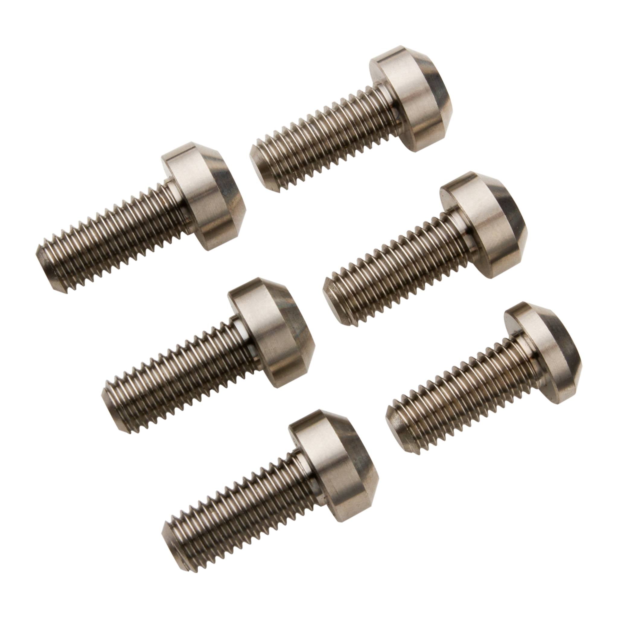 Burgtec Santa Cruz Titanium E-bike Motor Bolts Silver