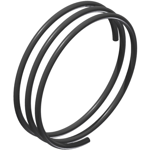 DT Swiss Cylindrical Spring For Ratchet EXP hubs Silver / One Size