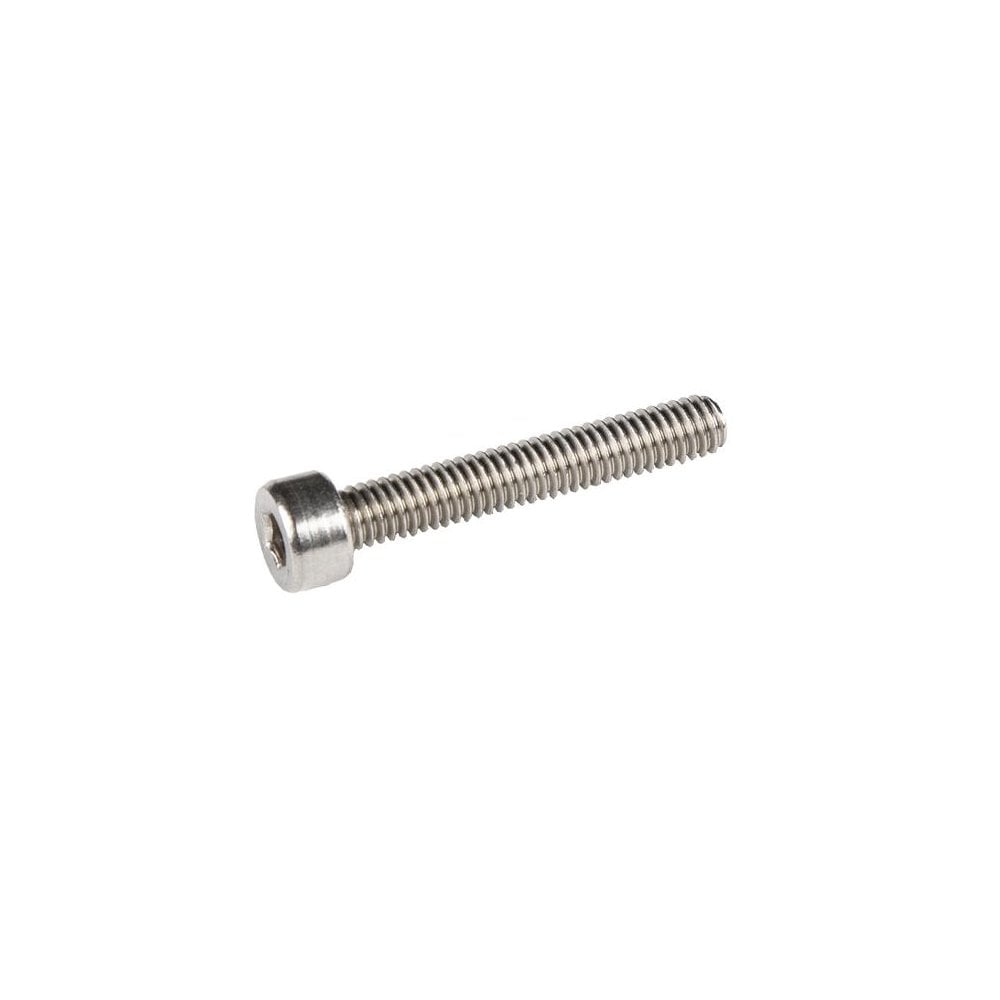 Wolf Tooth B-Screw Silver / 25mm