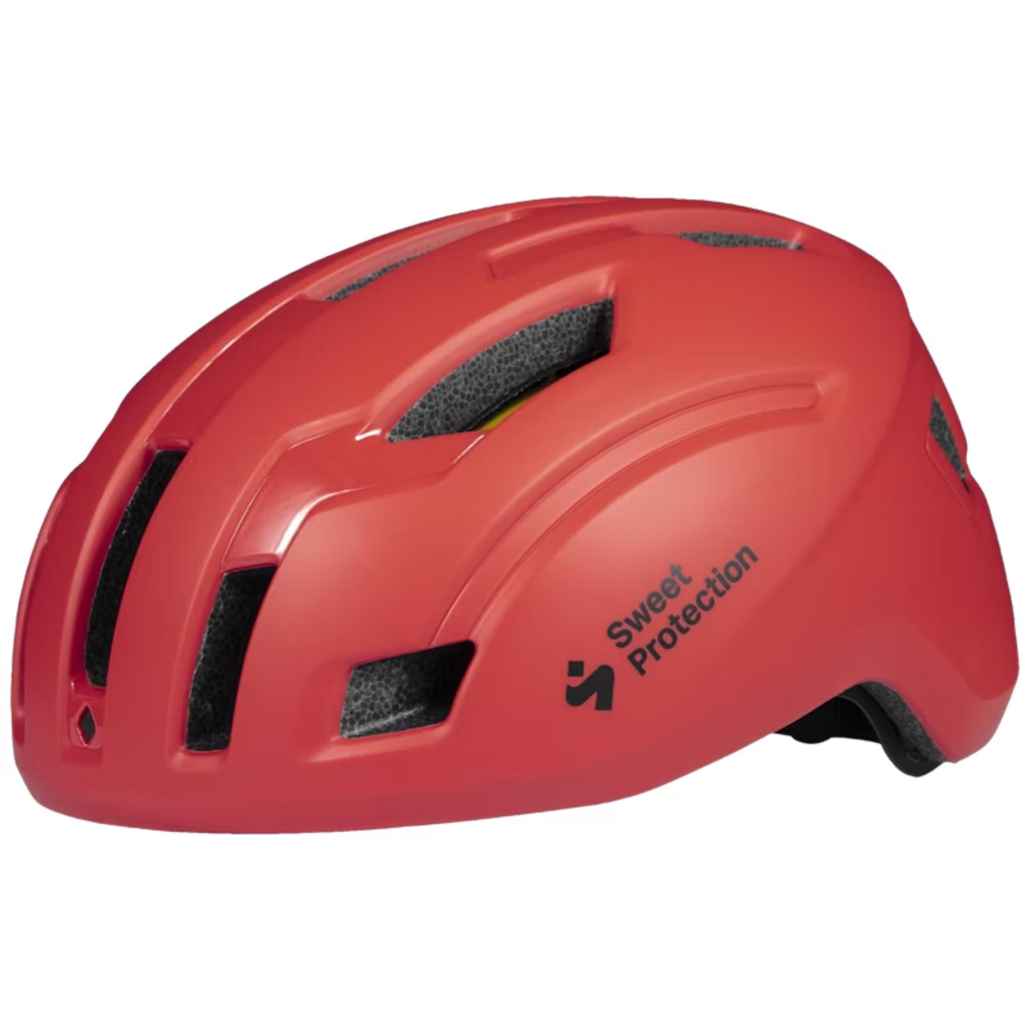 Sweet Protection Seeker Helmet