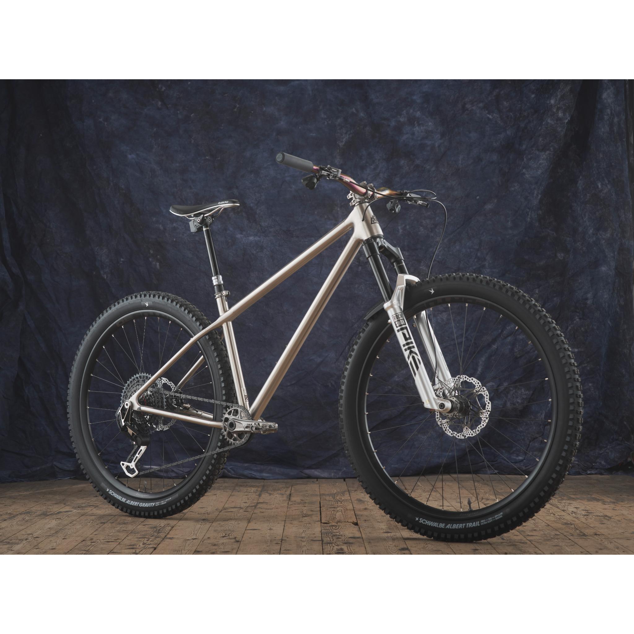 Titanium MTB Frame