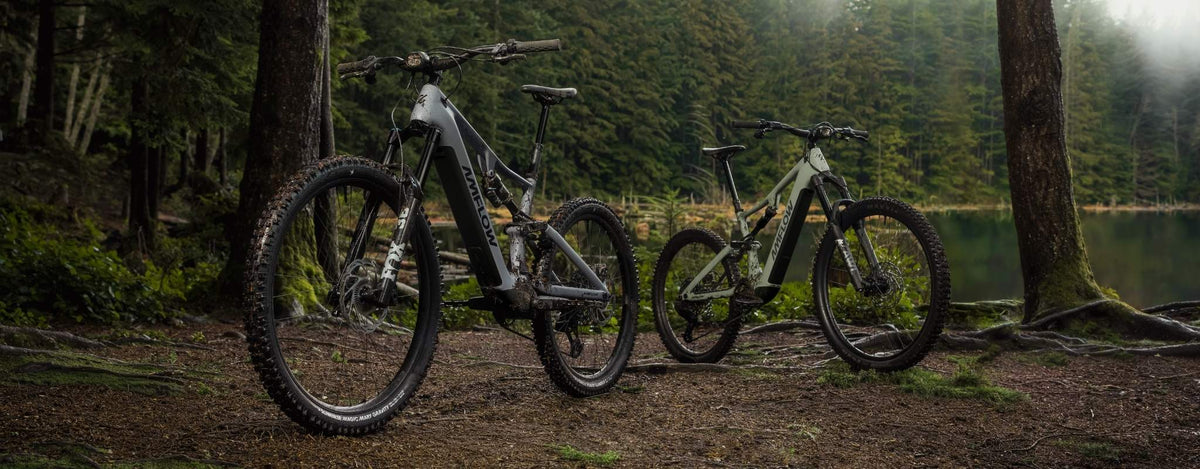 Amflow PL & PR Carbon