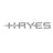 Hayes Brake Hose Insert Kit (10 pack)