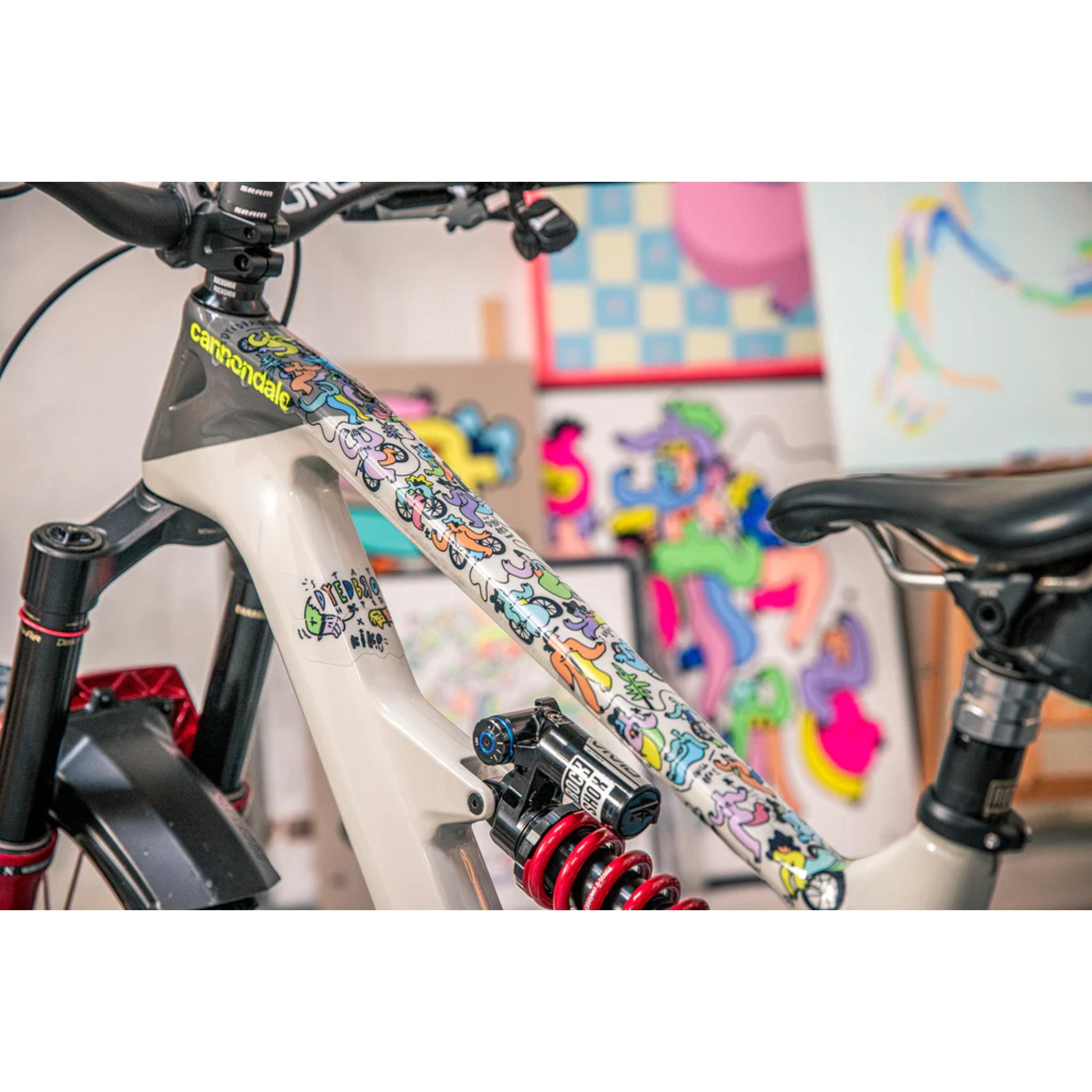 MTB Frame Protection Kit