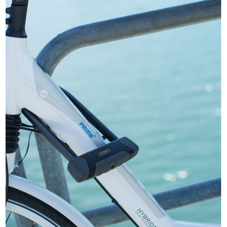 ABUS Granit XPlus 540 D-Lock