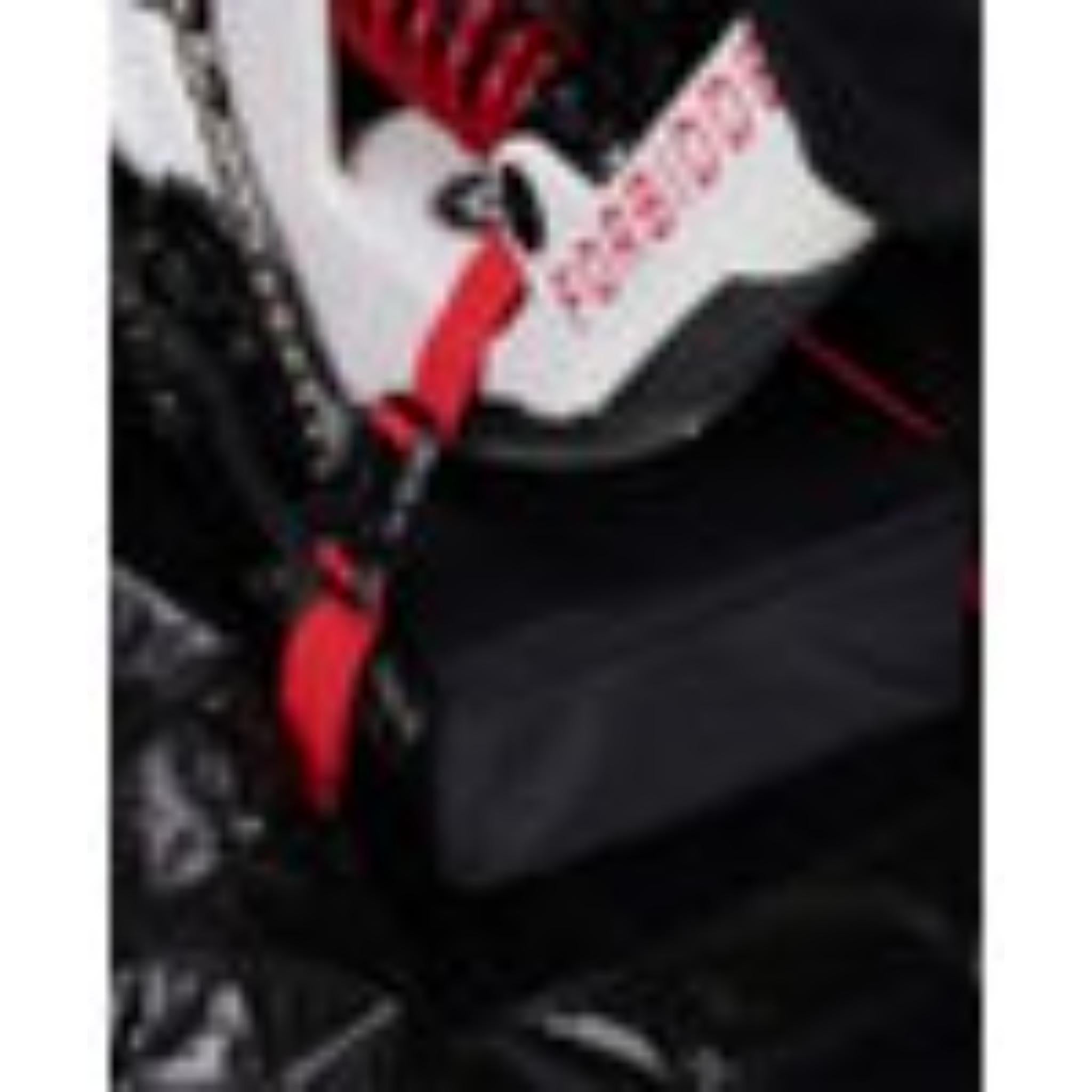 Atlas Bike Travel Bag