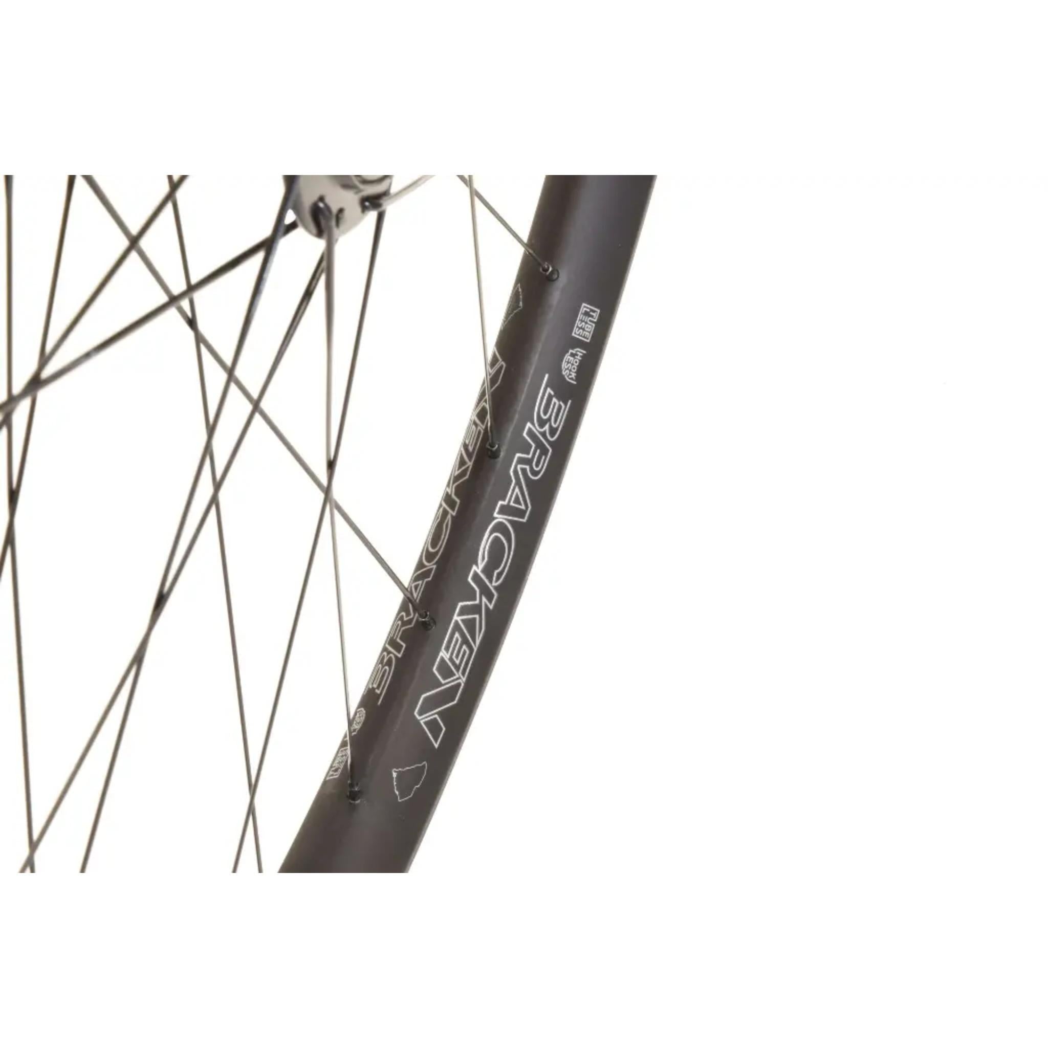 Bracken Alloy MTB Rear Wheel
