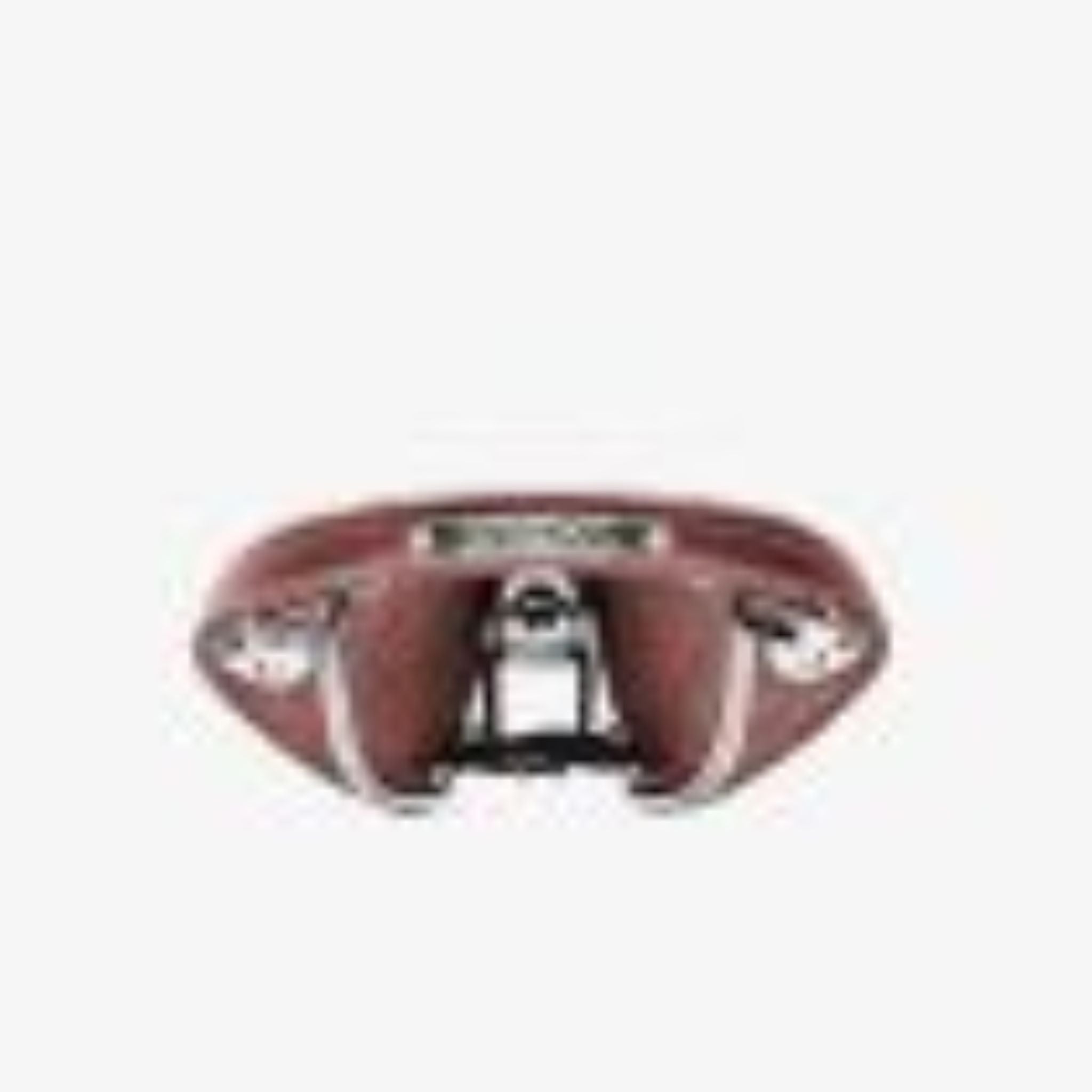 Brooks B17 Narrow Carved Saddle