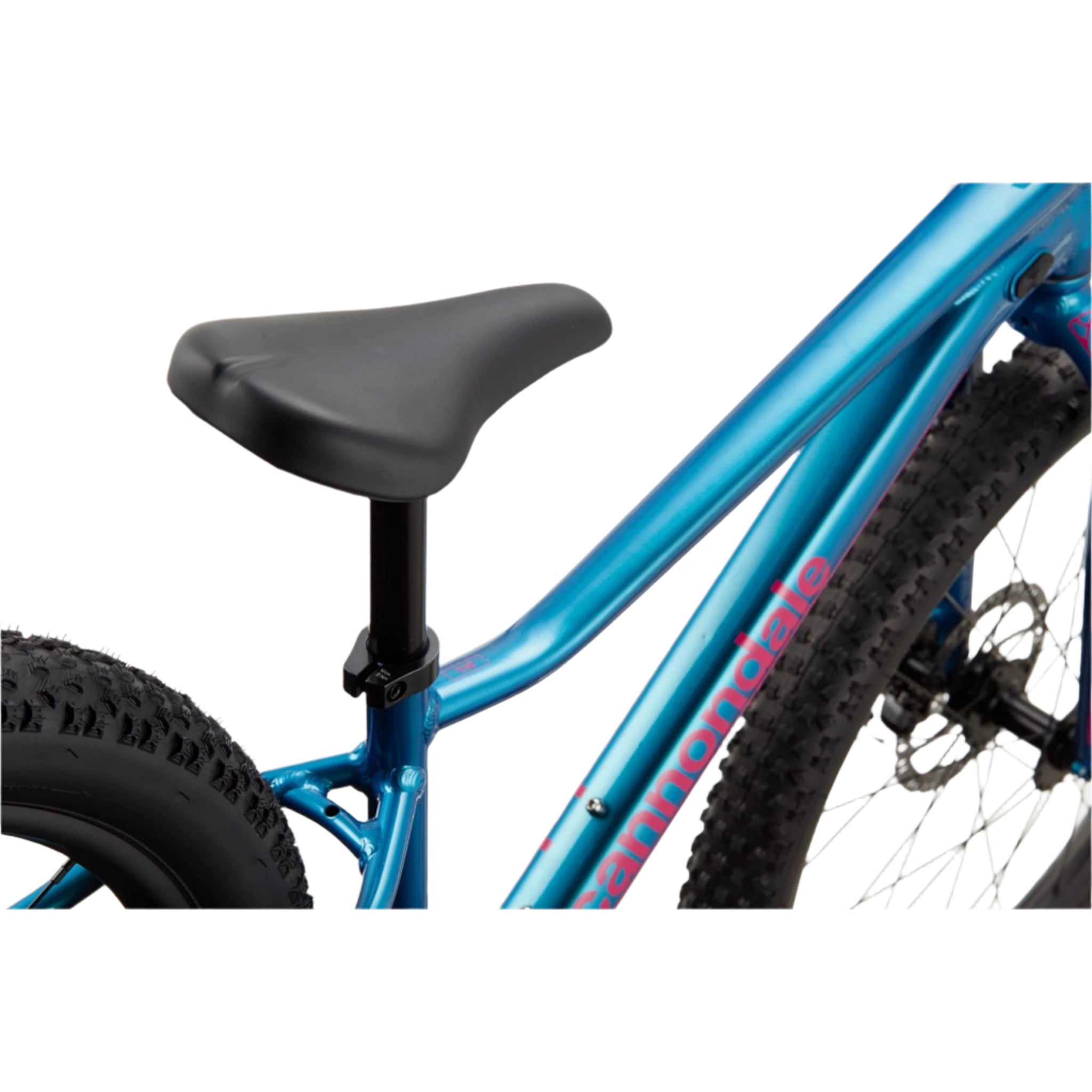 Cannondale Kids Trail Plus 24 2025