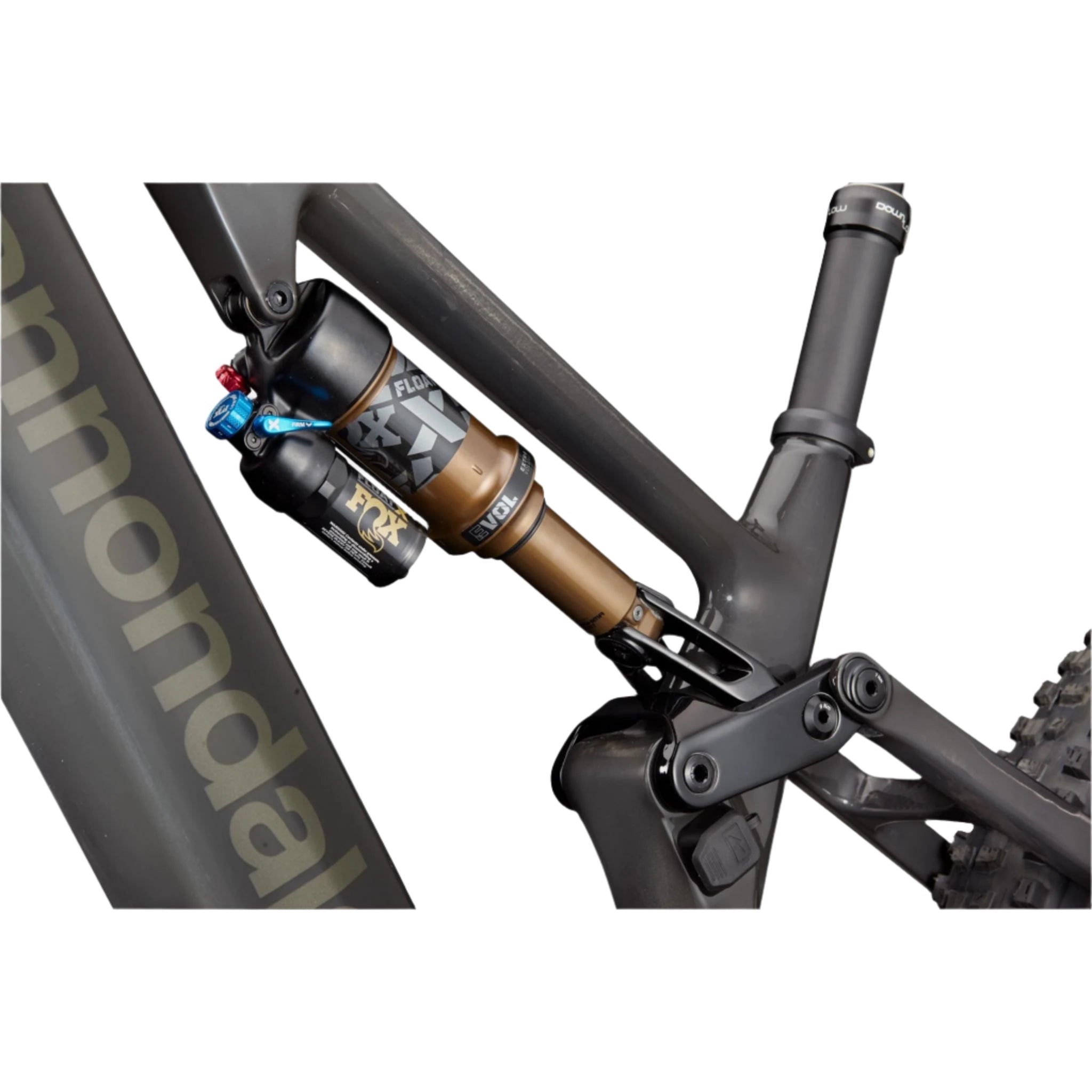 Cannondale Moterra Neo SL 1  2025