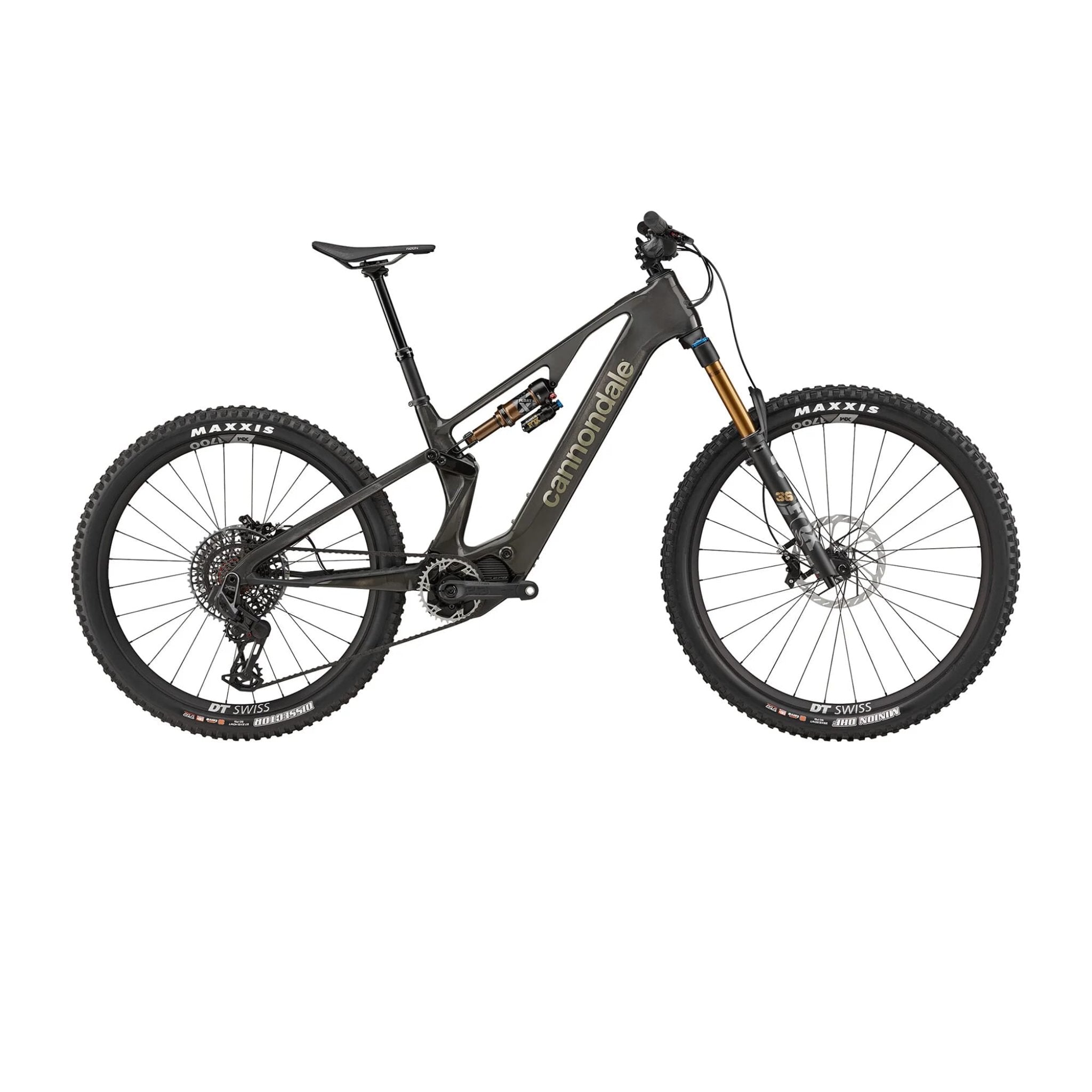 Cannondale Moterra Neo SL 1  2025 Raw / L
