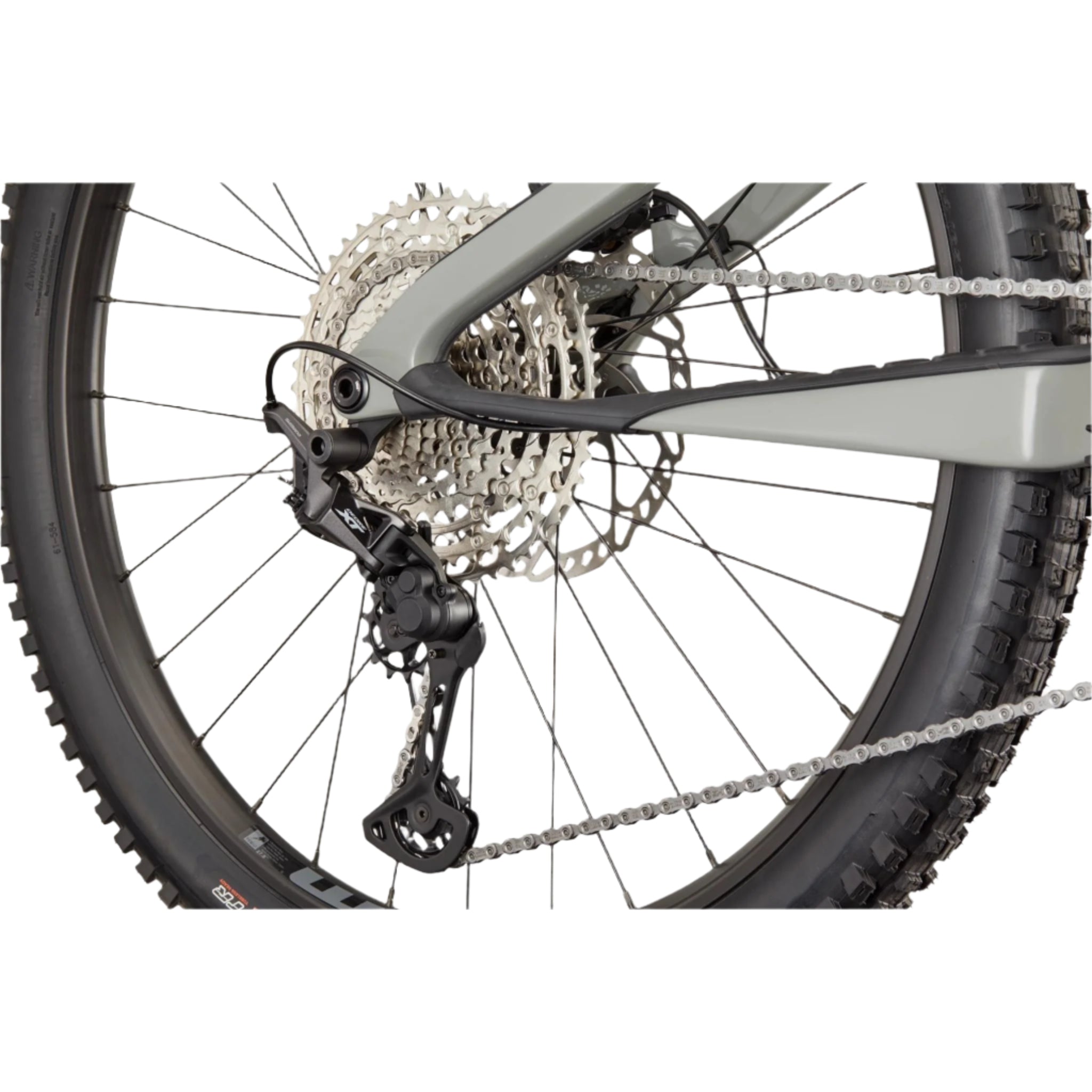 Cannondale Moterra SL 2 2025 Tiger Shark / L