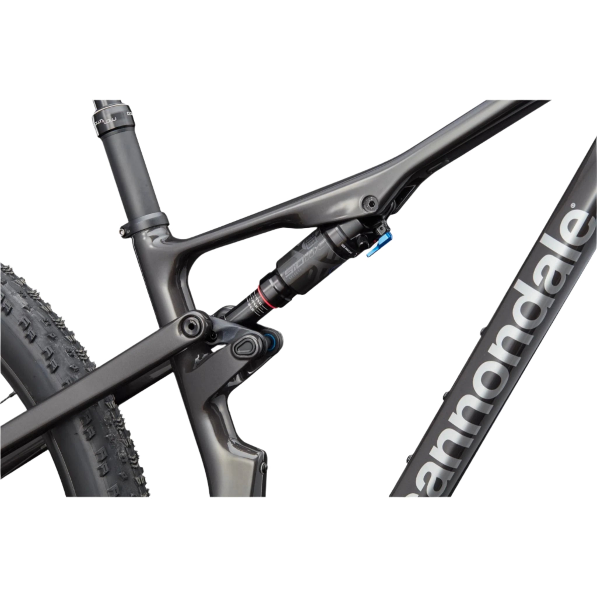 Cannondale Scalpel 4 2024