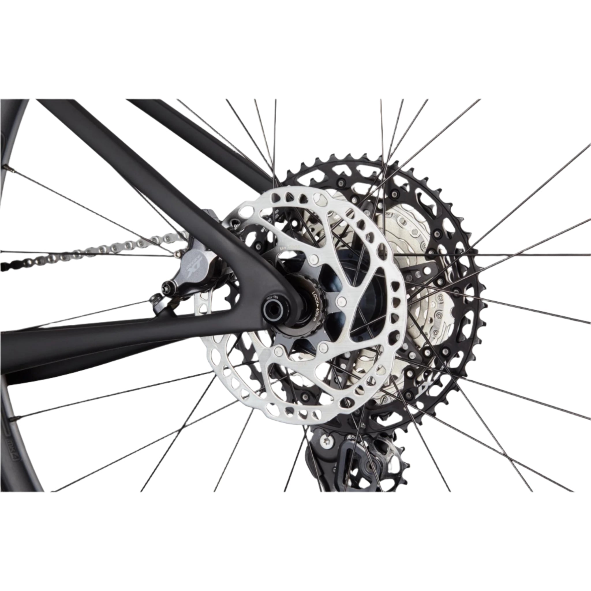 Cannondale Scalpel HT Carbon 2 2024