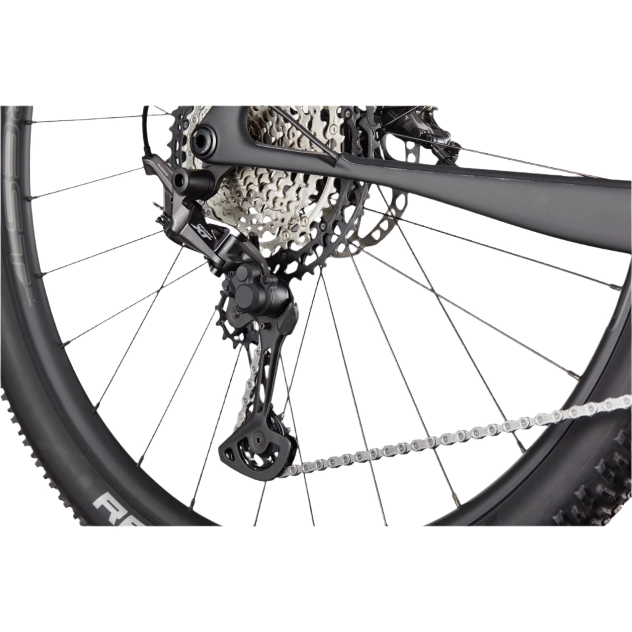 Cannondale Scalpel HT Carbon 2 2024