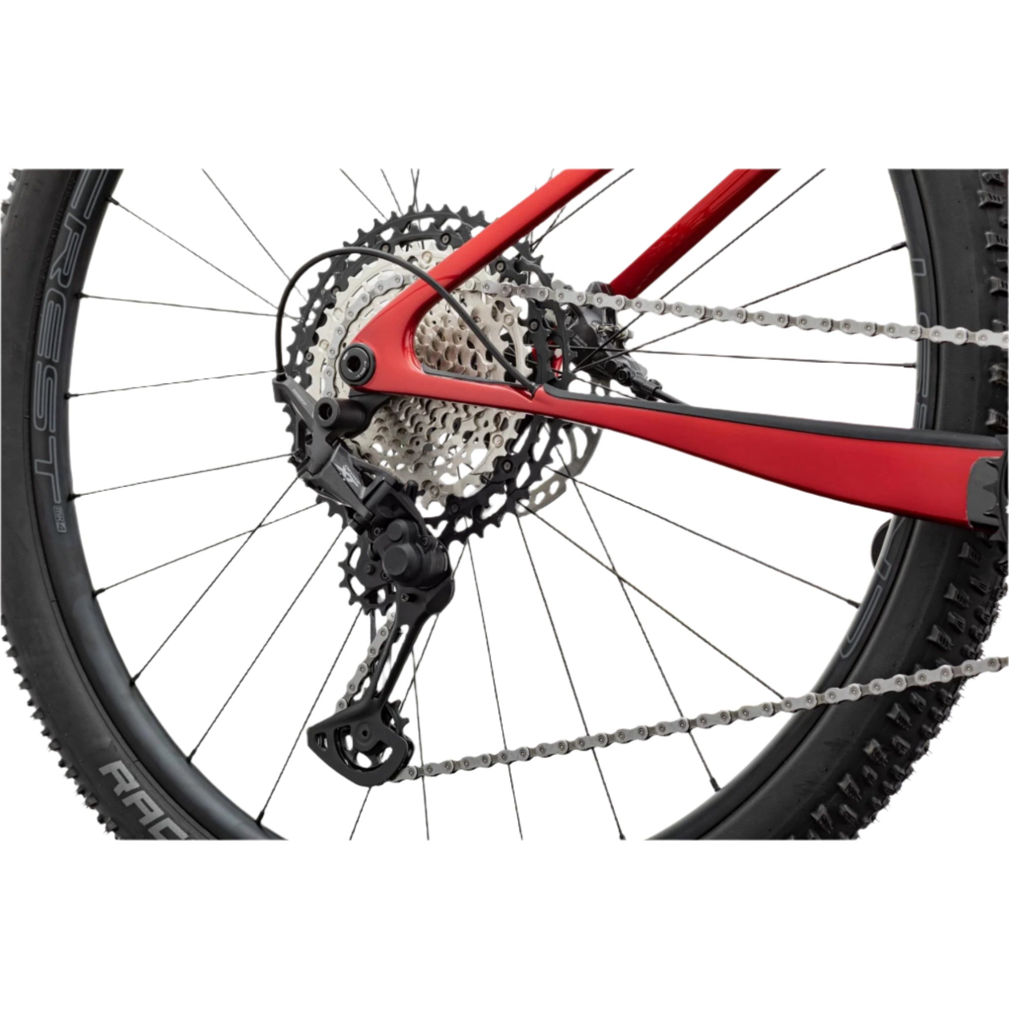 Cannondale Scalpel HT Carbon 2 2024