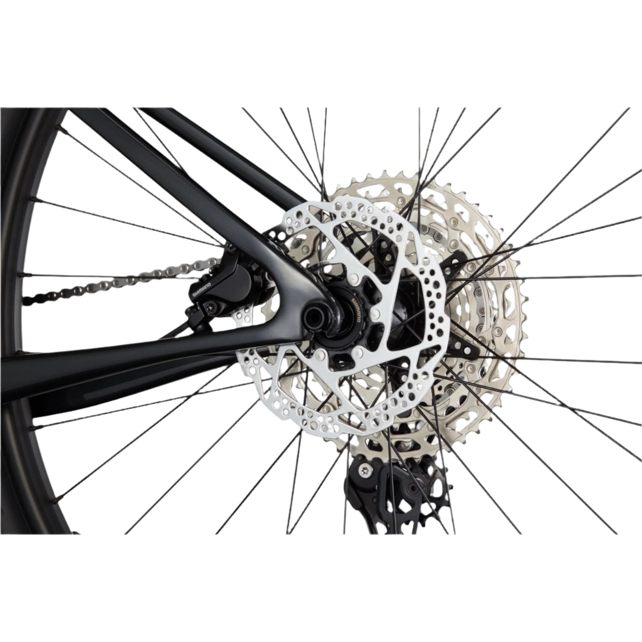 Cannondale Scalpel HT Carbon 4 2025