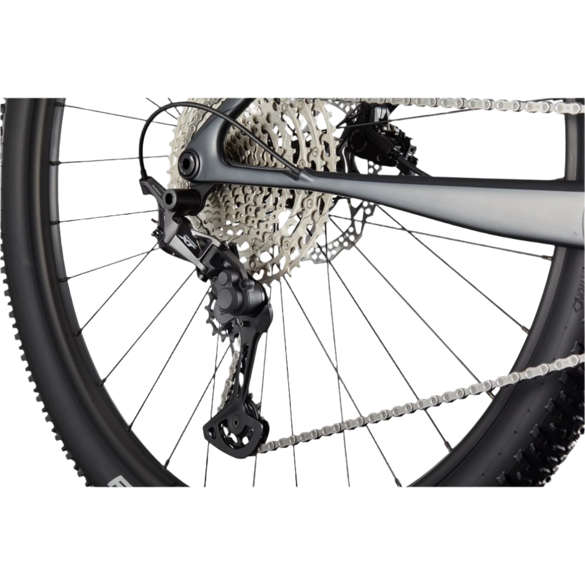 Cannondale Scalpel HT Carbon 4 2025