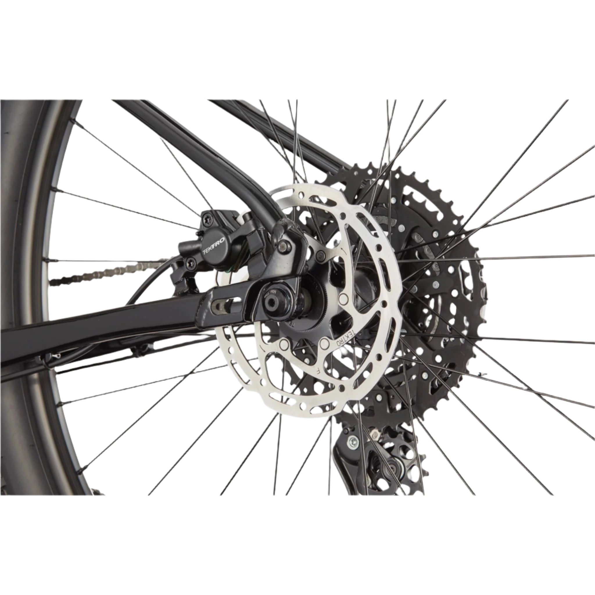 Cannondale Trail 1 2025