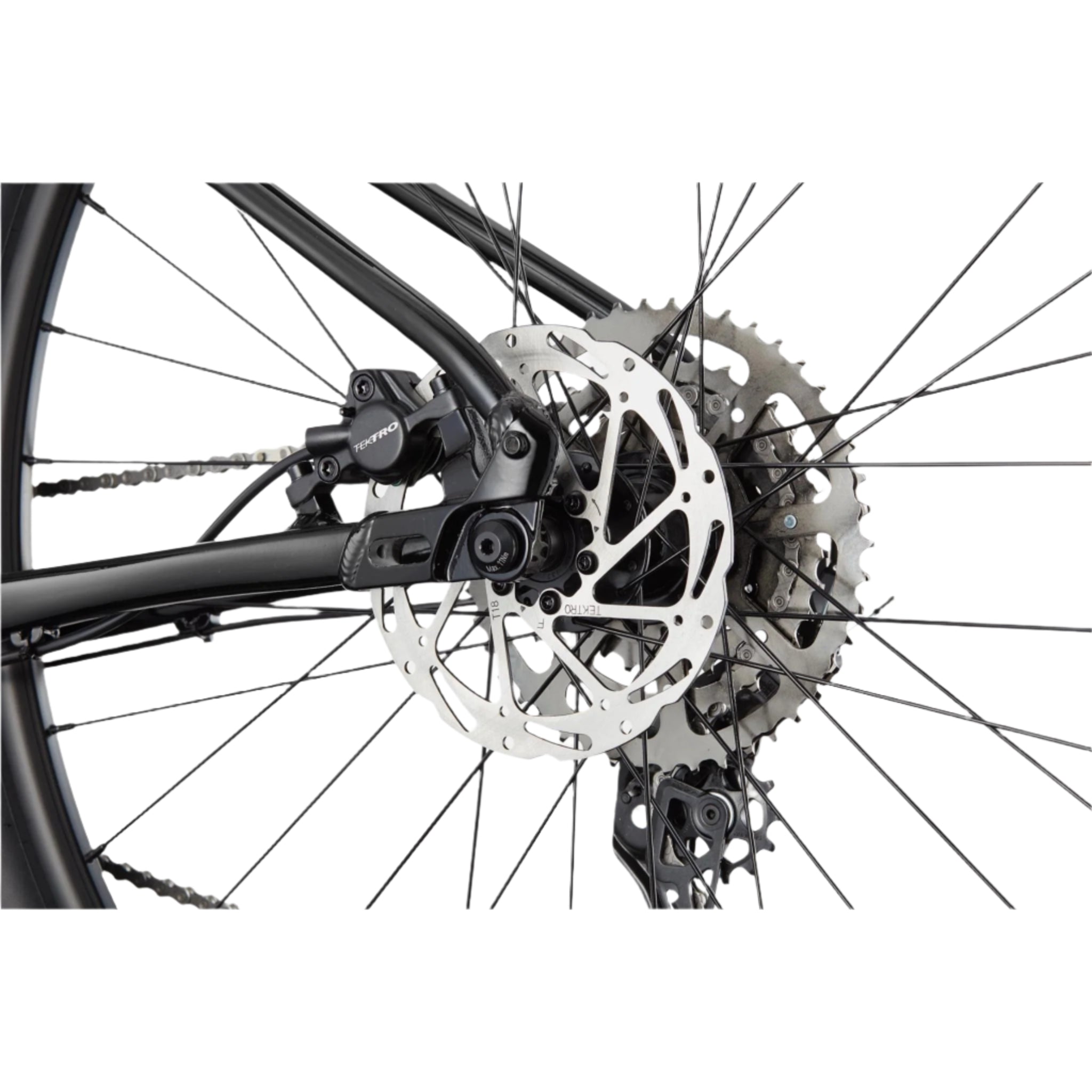 Cannondale Trail 2 2025